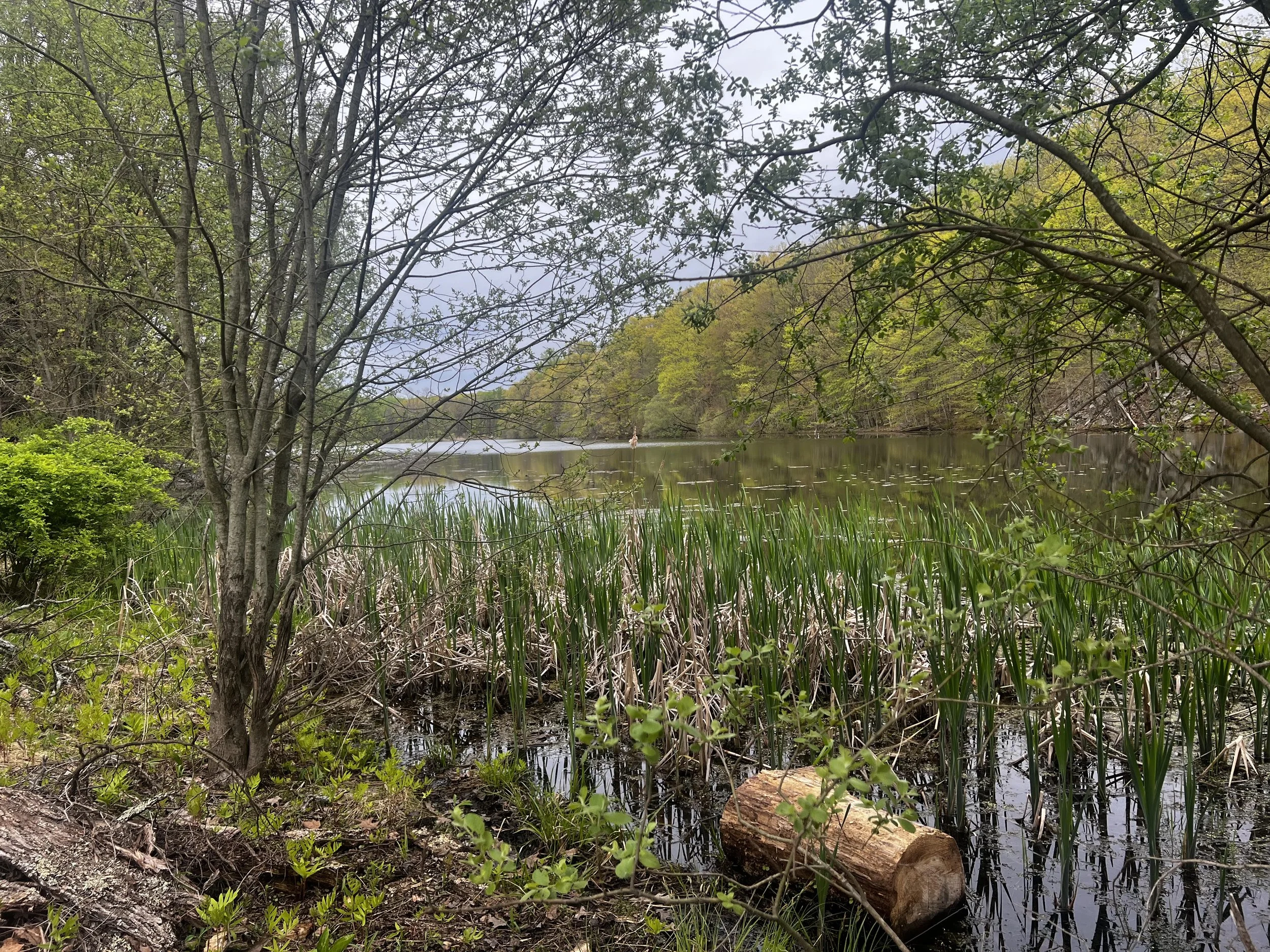 Lake.jpg