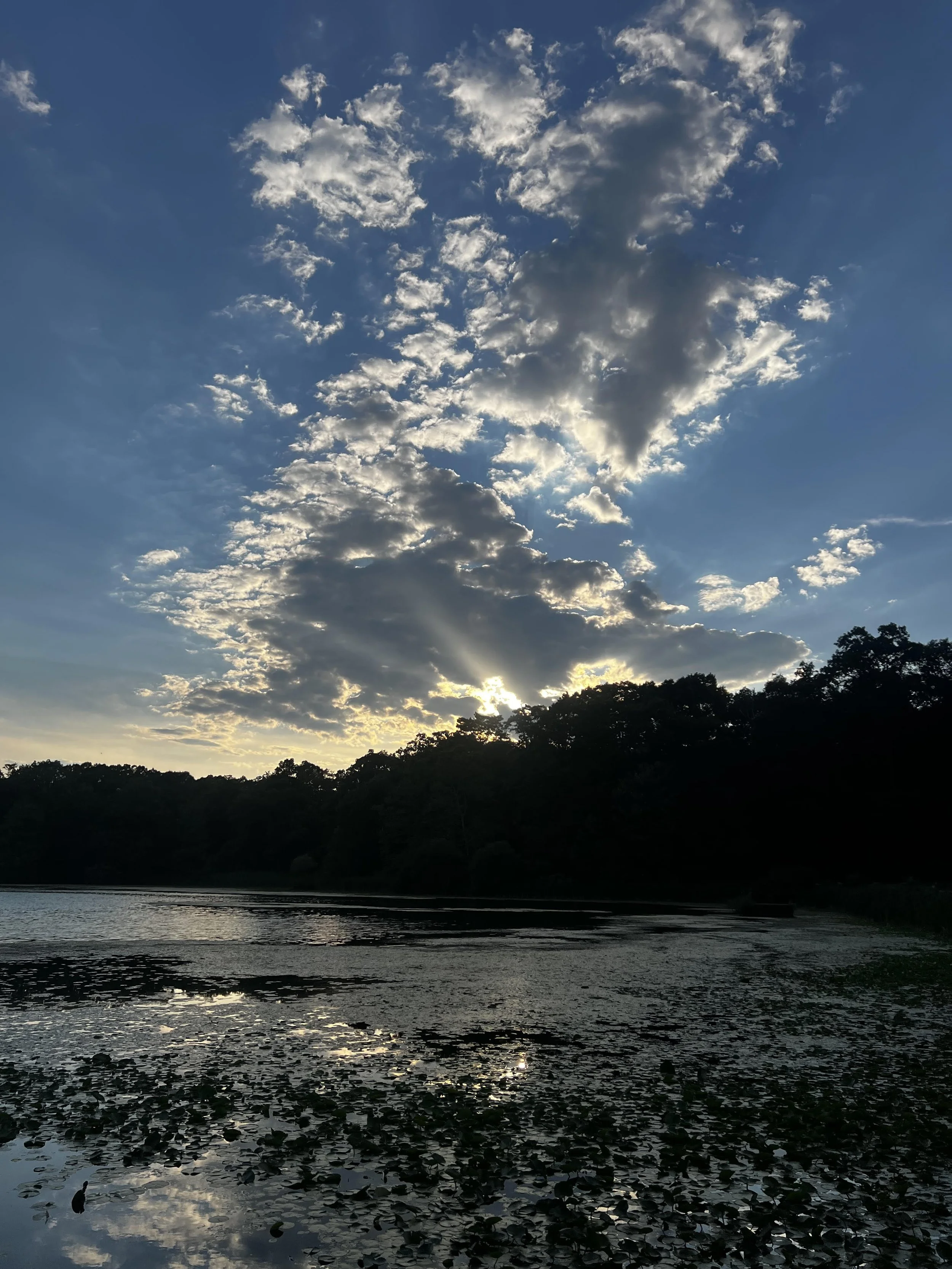 Sunset.jpg
