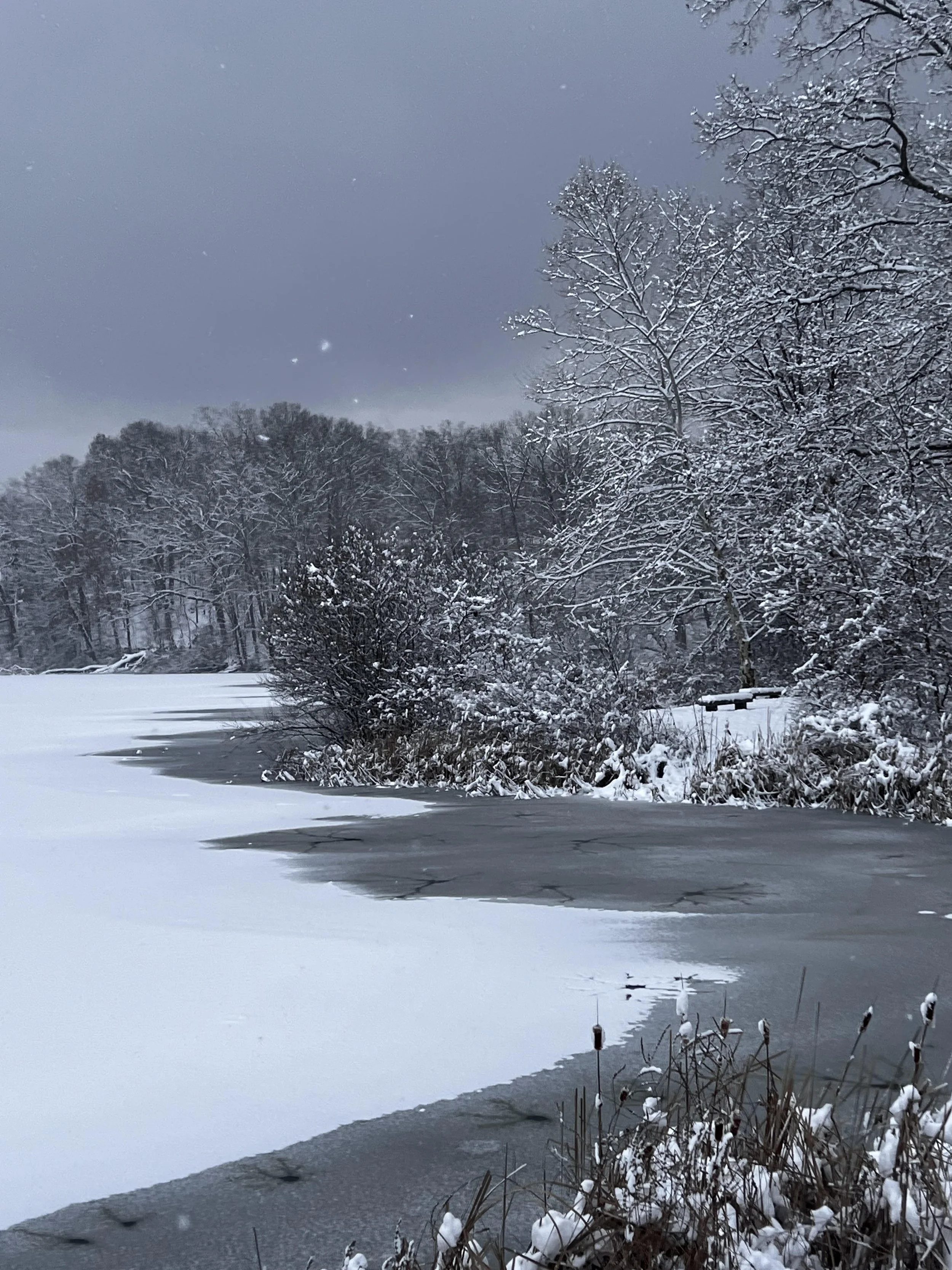 LakeWinter.jpg