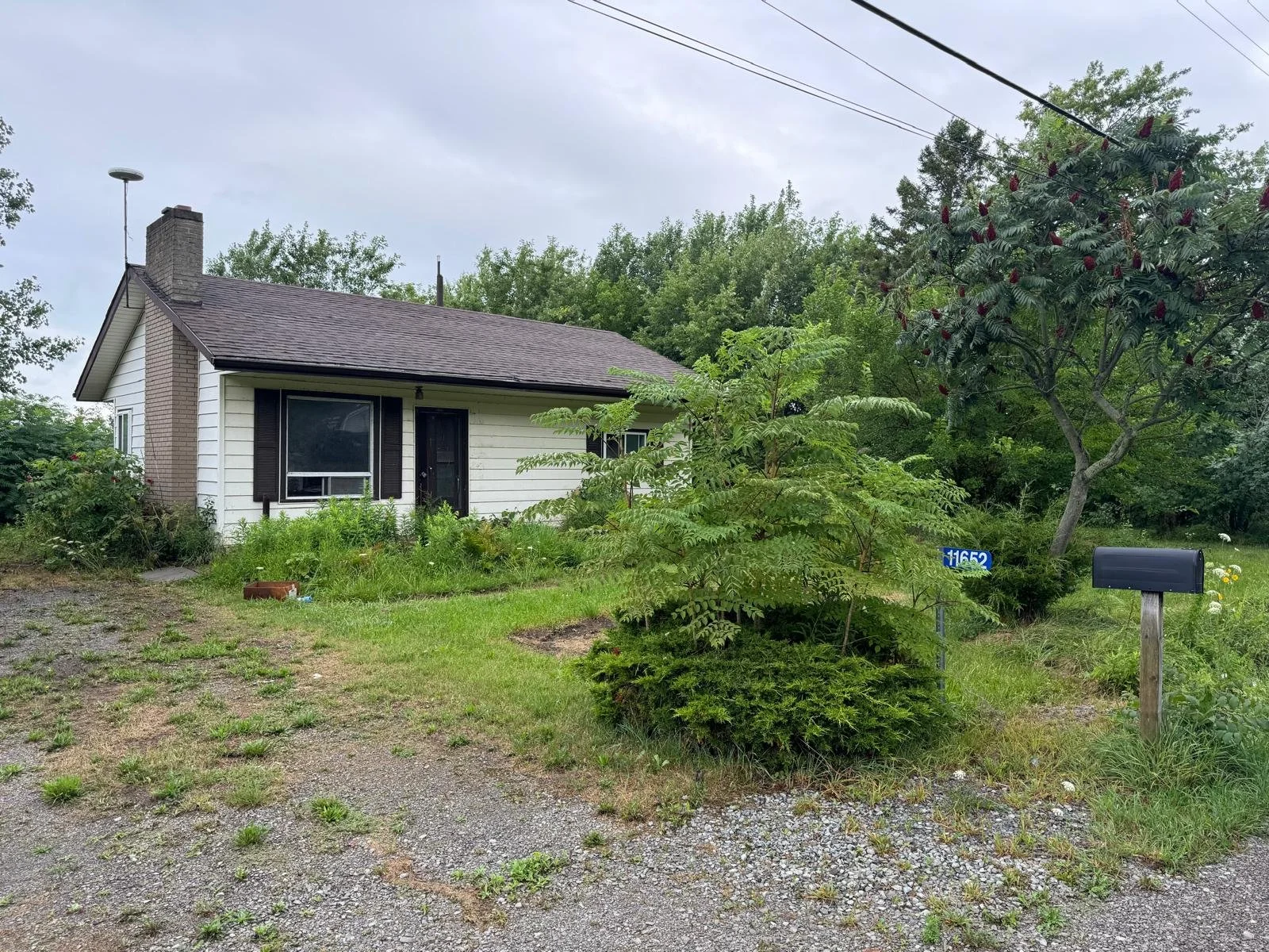 A small house with white siding and black shutters, surrounded by trees and grass. There is a mailbox in the front yard, a blue house number sign, and power lines overhead.