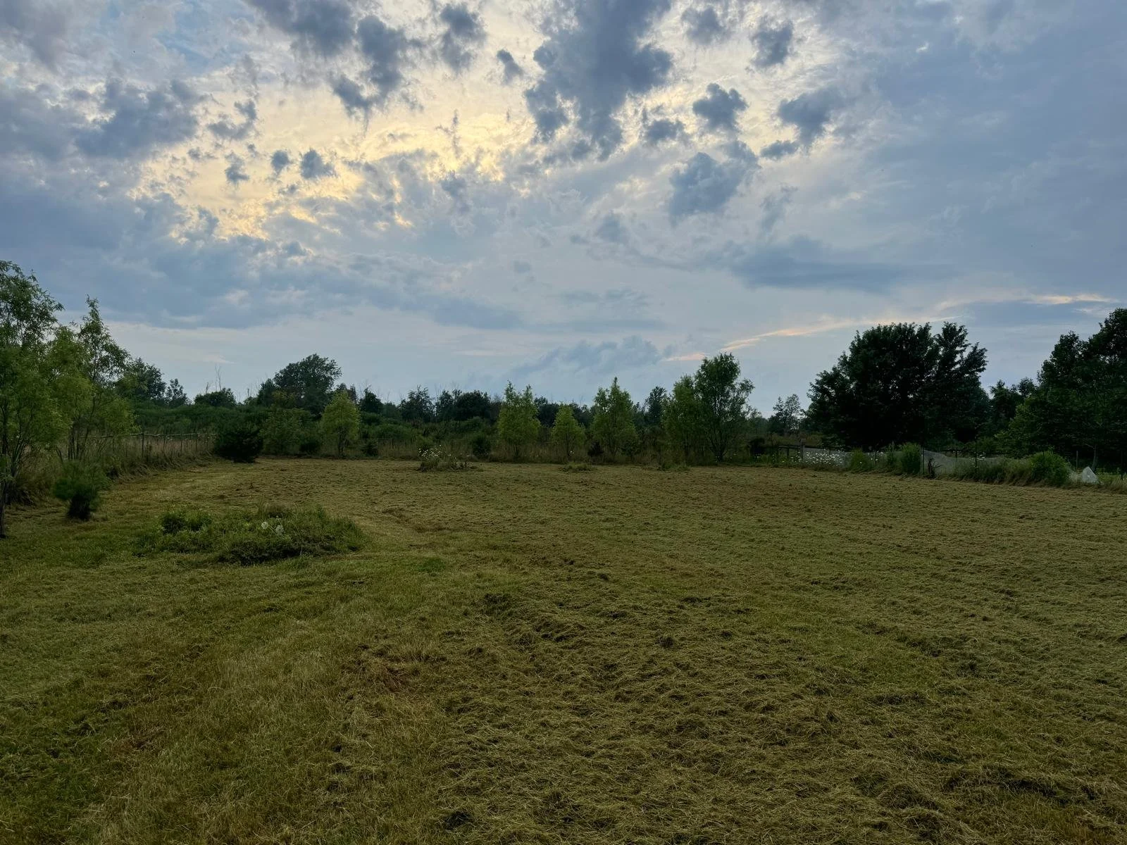 A field with freshly mowed grass, trees in the background under a cloudy sky with hints of sunlight.