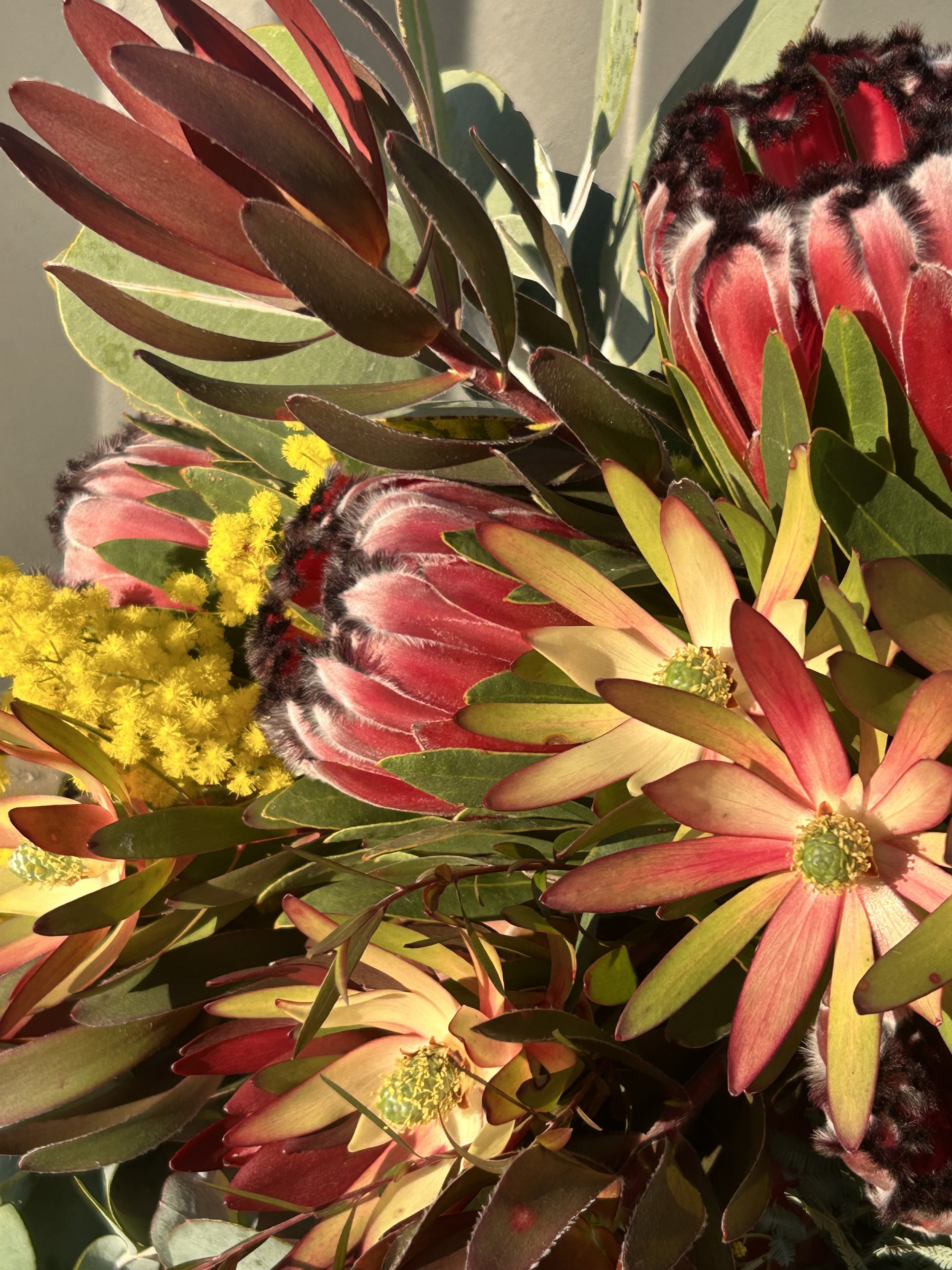 Close-up of a variety of colorful flowers and leaves, including red, pink, yellow, and green foliage, with some yellow fluffy flowers in the bottom left corner.