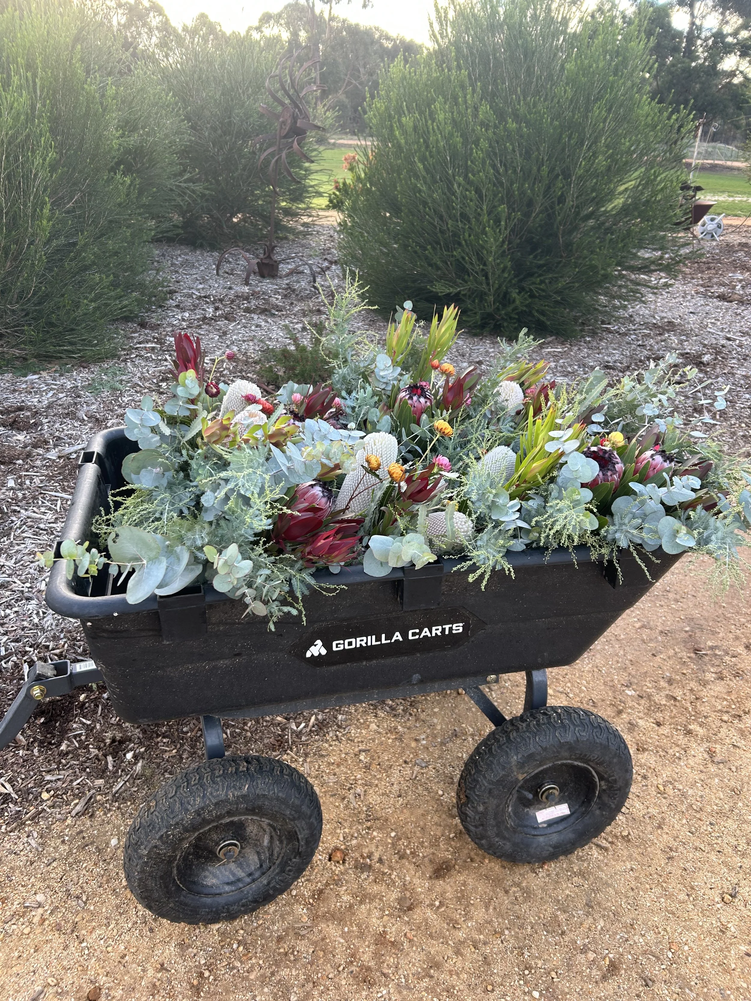 A black Gorilla Carts wagon filled with various plants and flowers, with large black tires, resting on a dirt ground outside.