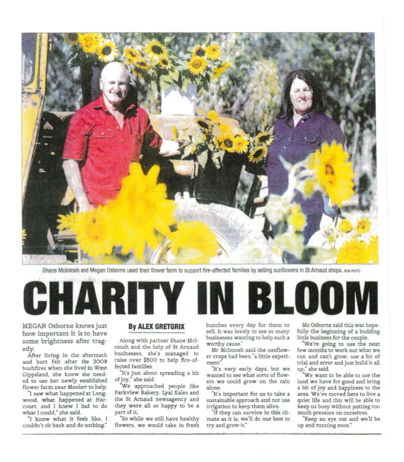A newspaper article titled "Charity in Bloom" showing Shane McIntosh and Megan Osborne standing next to a flower cart filled with sunflowers, in a garden or outdoor setting.
