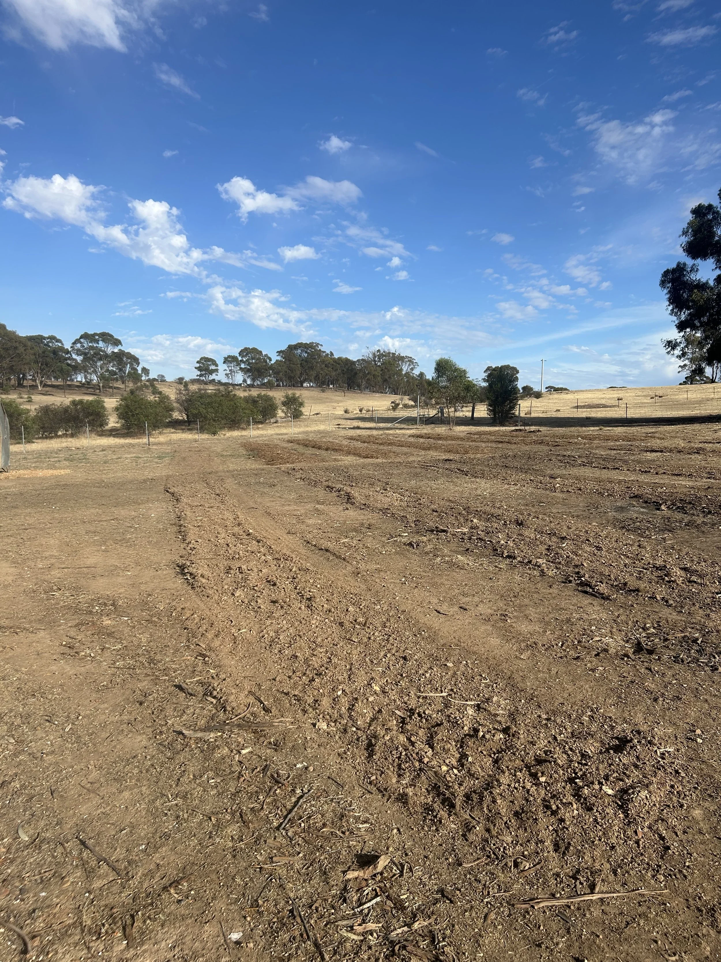A dirt field with tire tracks and scattered small debris, bordered by trees and a wire fence, under a bright blue sky with scattered white clouds.
