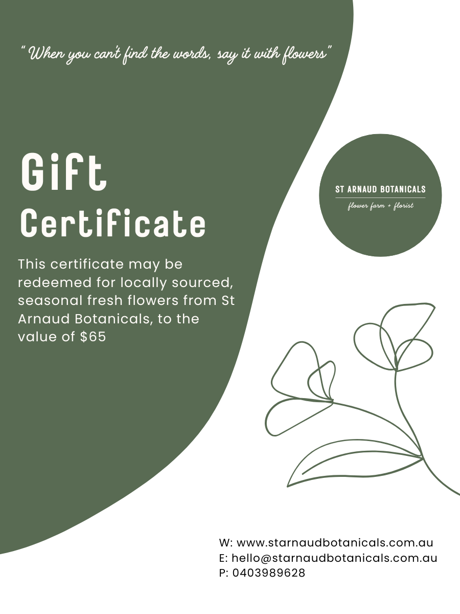 Gift Certificate