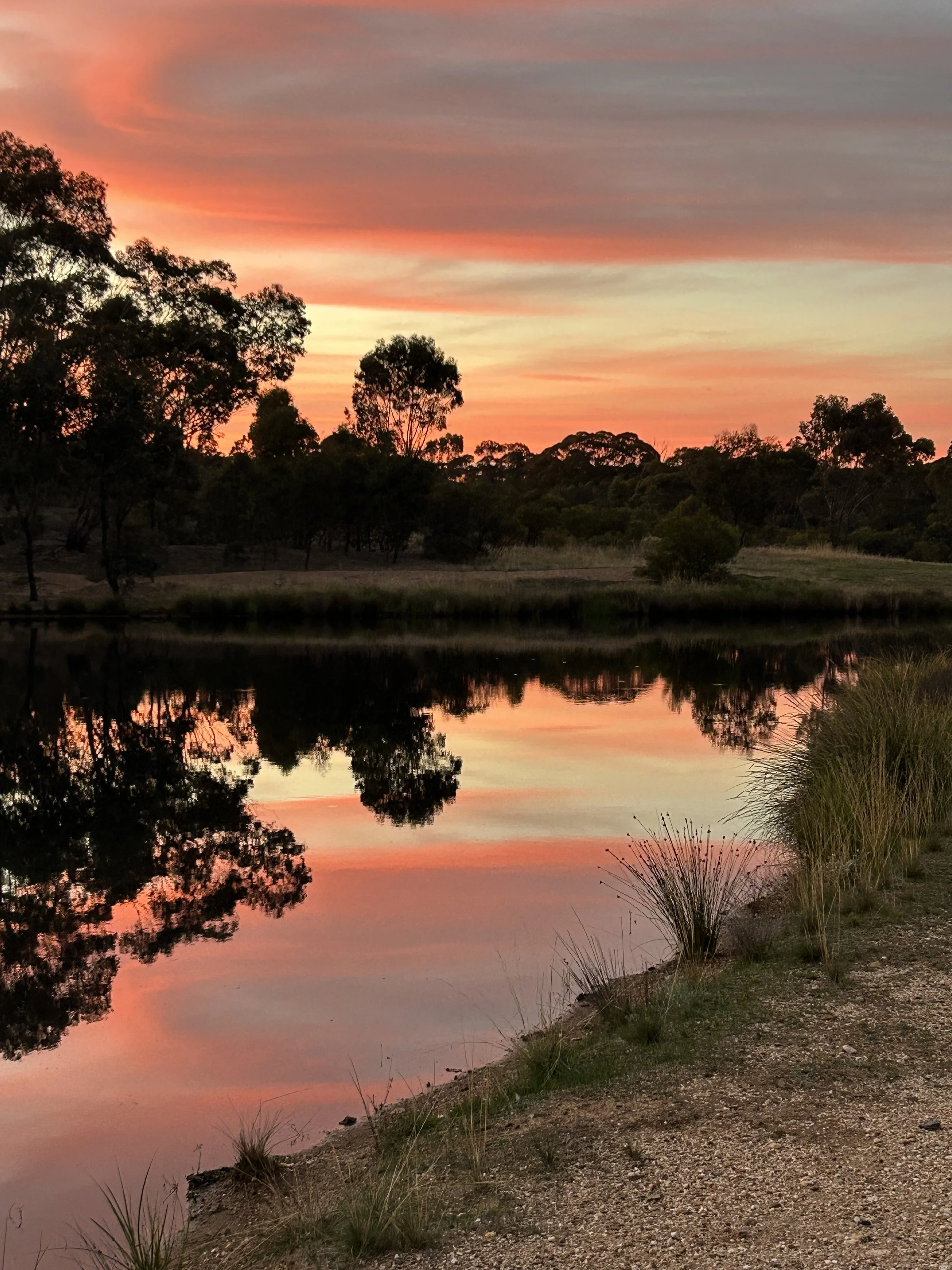 A tranquil sunset over a river, with trees silhouetted against a colorful sky of orange, pink, and purple hues, and their reflections visible in the water.