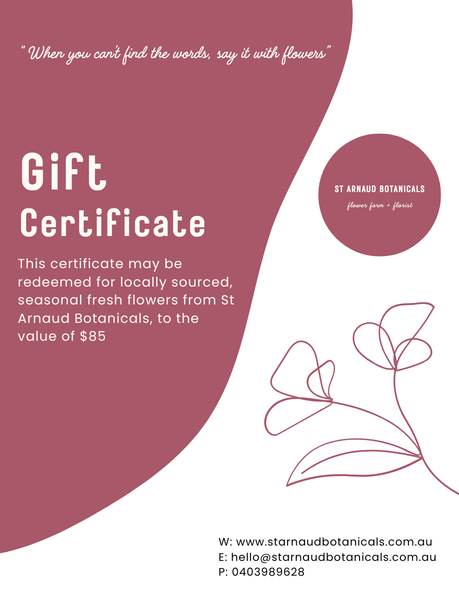 gift cert 34 (1).png