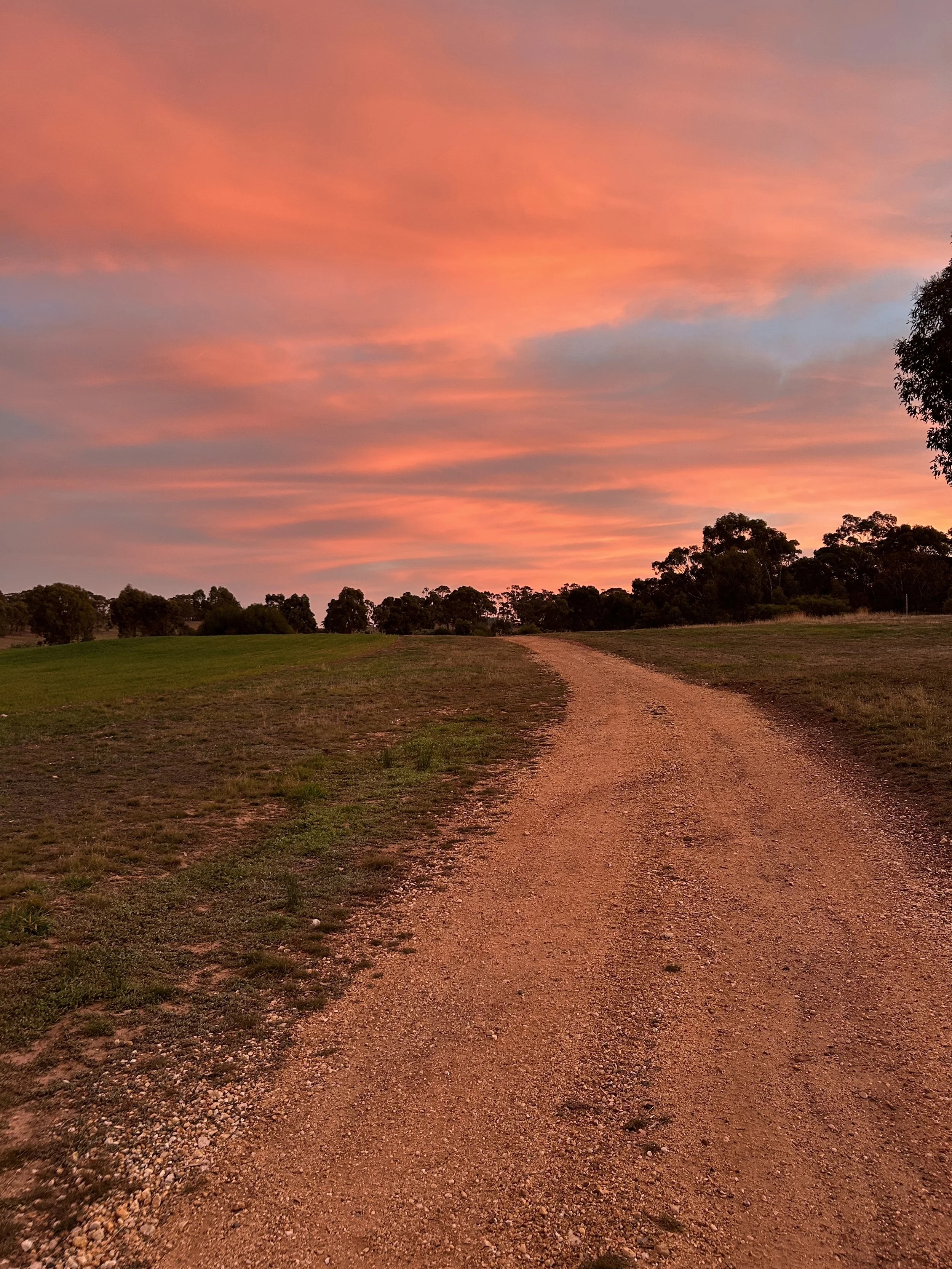 A dirt path winding through a grassy field during sunset, with trees silhouetted against a pink and orange sky.