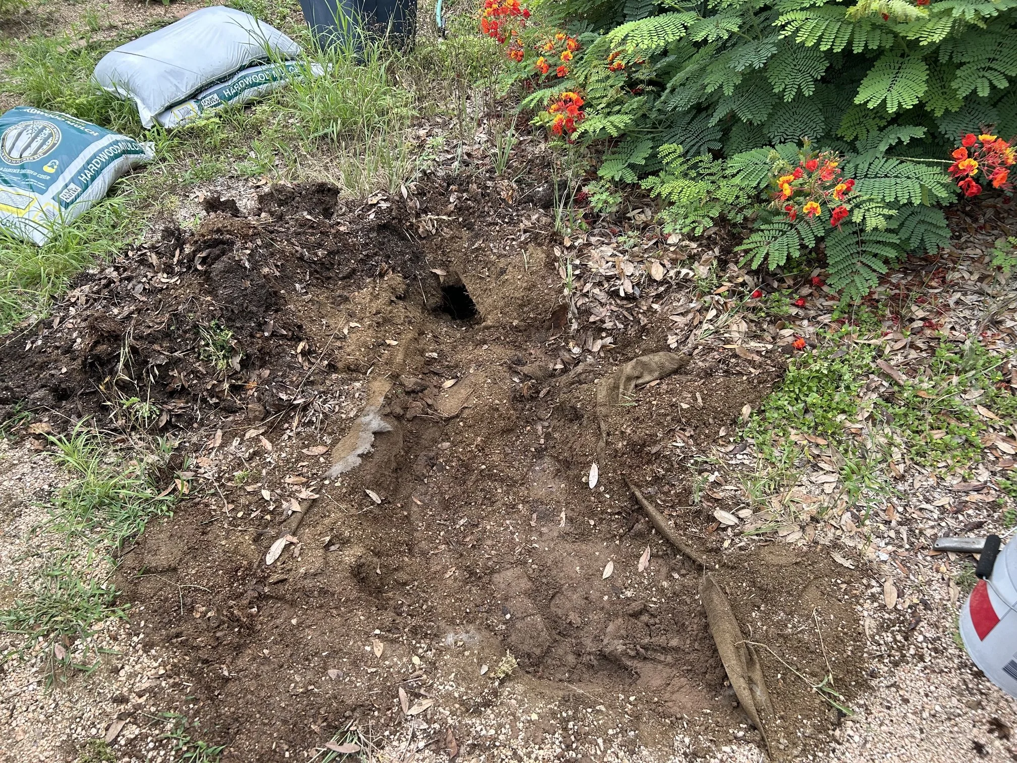 Image of a large hole left in a yard after removing a tree