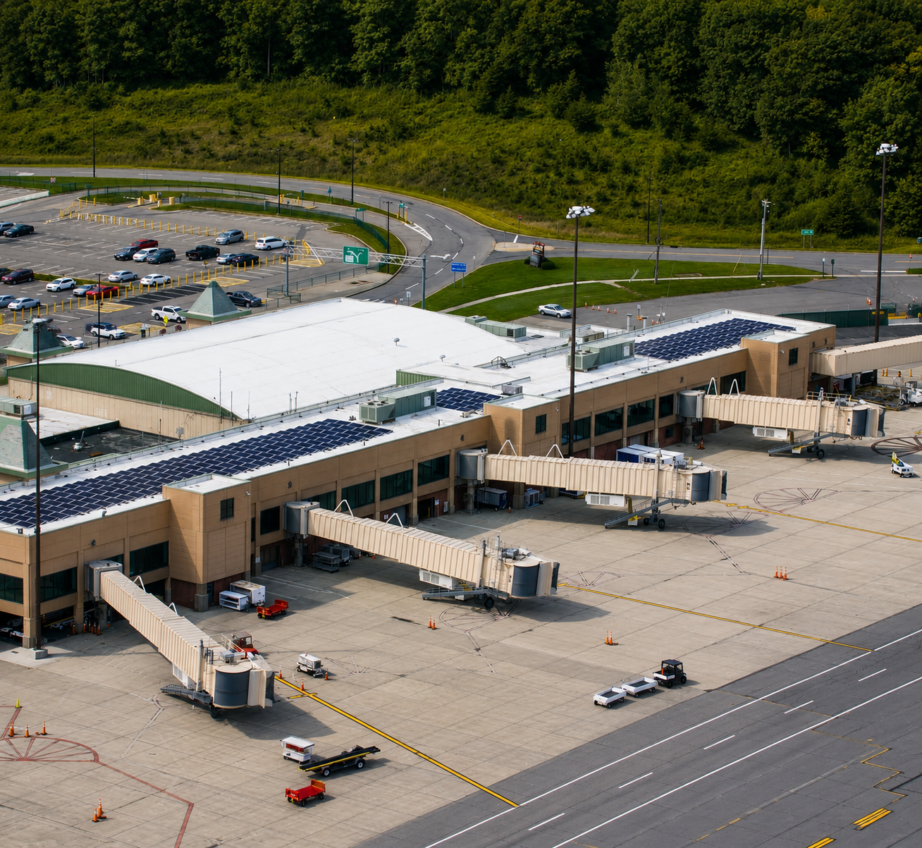 Professional aircraft leather cleaning and conditioning services in New York