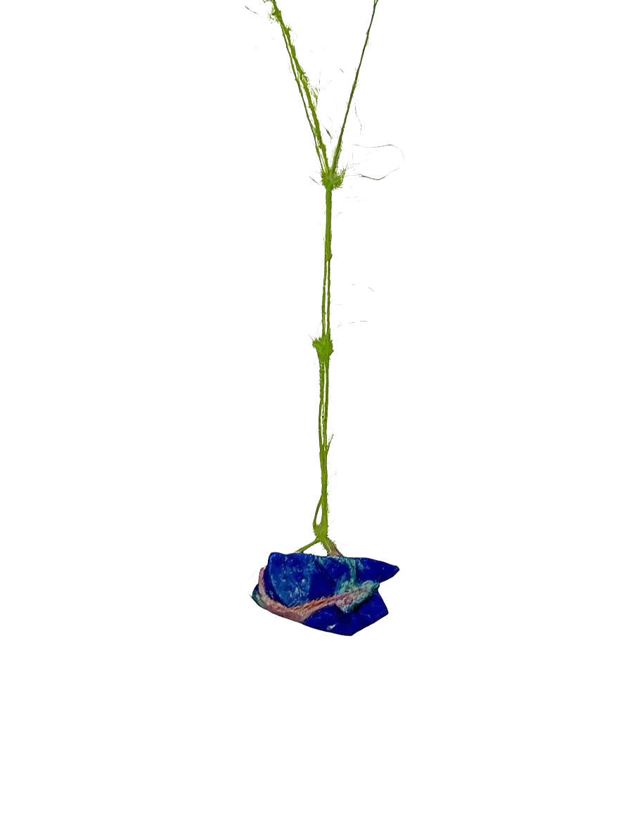 IMG_3541.png