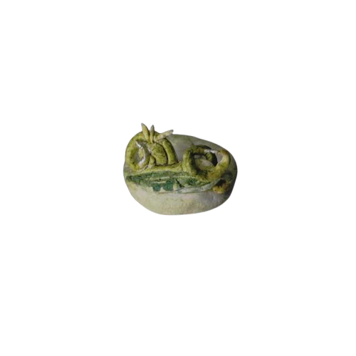 Exuvia
