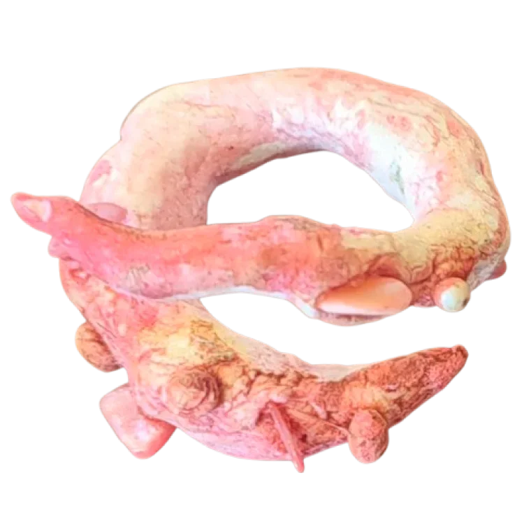 Tooth