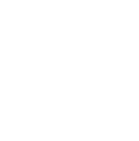 A white circular shape made up of a halftone pattern on a black background.