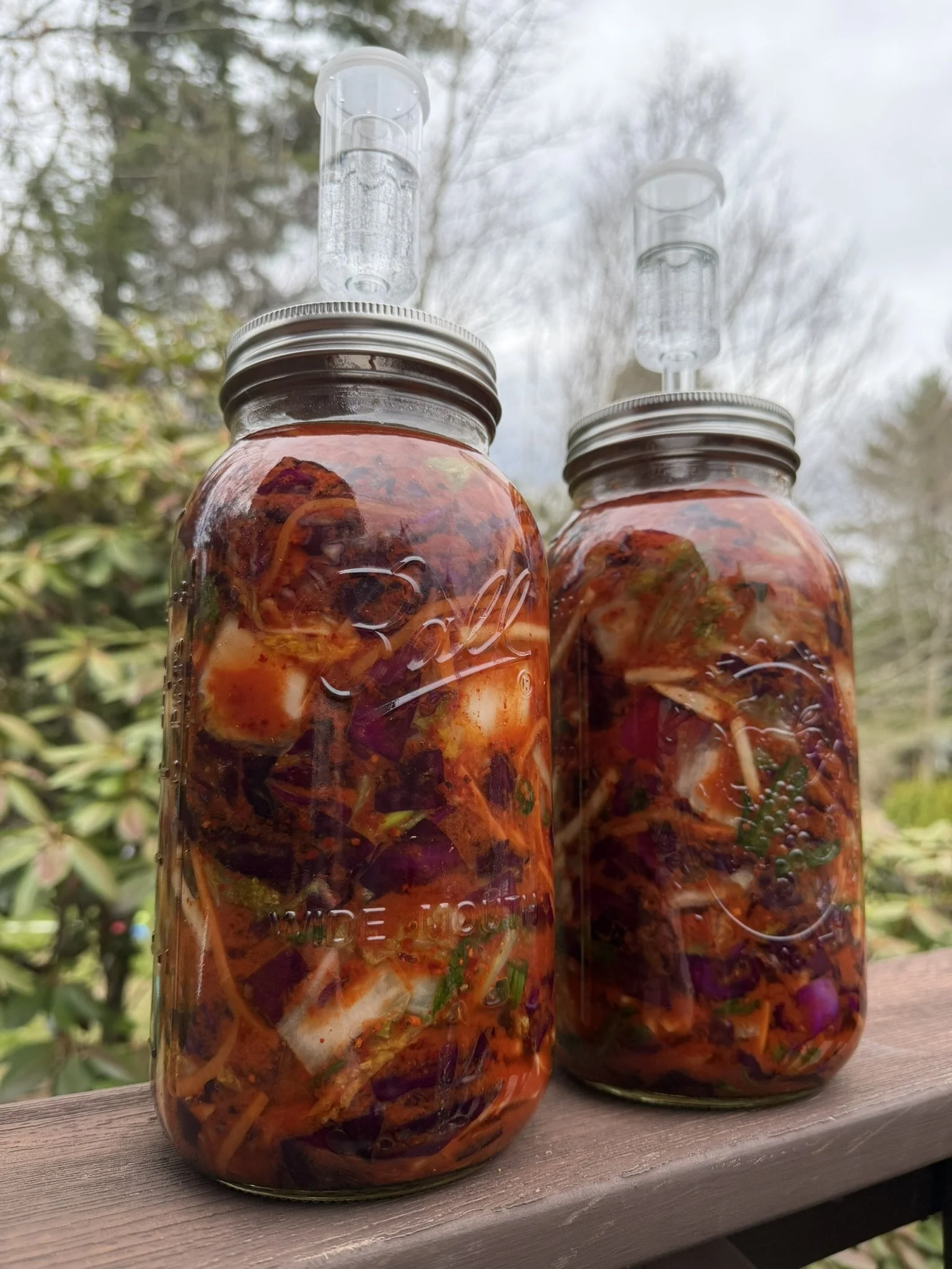 Rich &amp; Savory Doenjang Red &amp; Napa Cabbage Kimchi