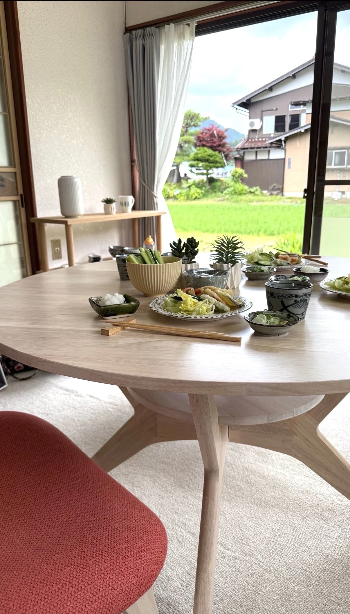 ダイエット民泊のリビングから見える景色