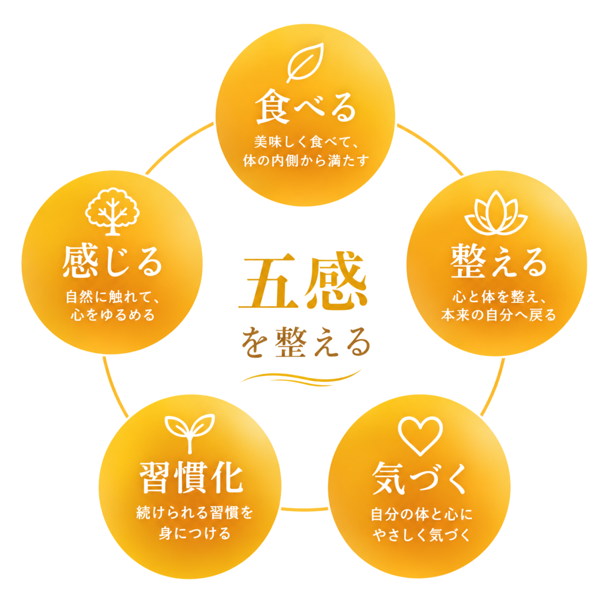 五感を整える５つの要素