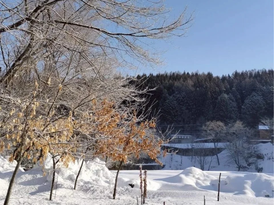 岐阜県高山市荘川町　雪景色