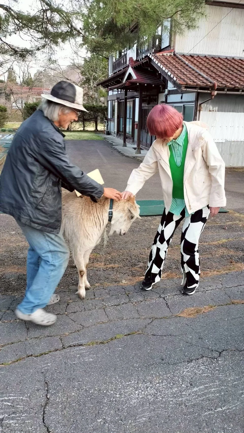 荘川町でヤギとふれあうダイエット民泊のオーナー