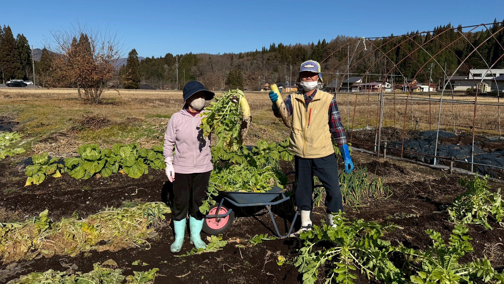 荘川町で採れた新鮮な野菜とご夫婦