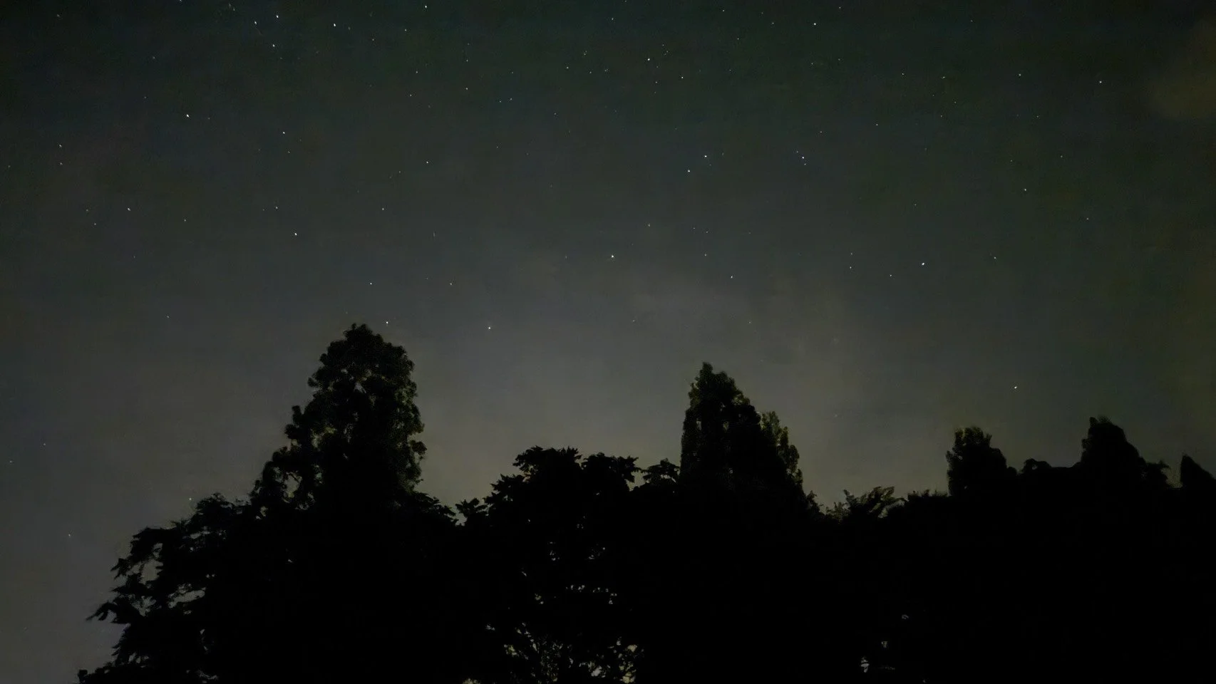 岐阜県高山市荘川町の蛍と星空が映る幻想的な写真