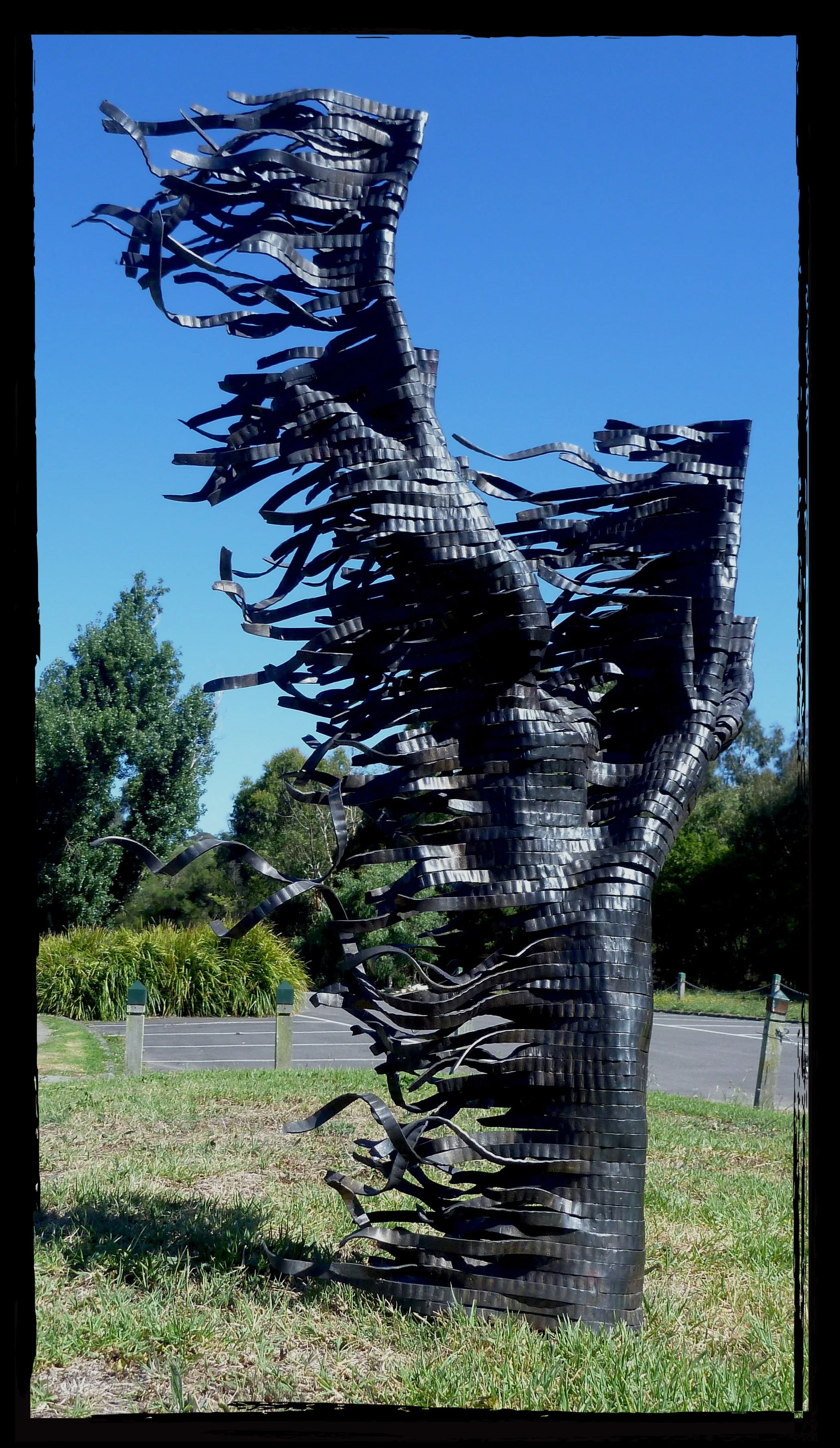 Ghost Tree 02.jpg
