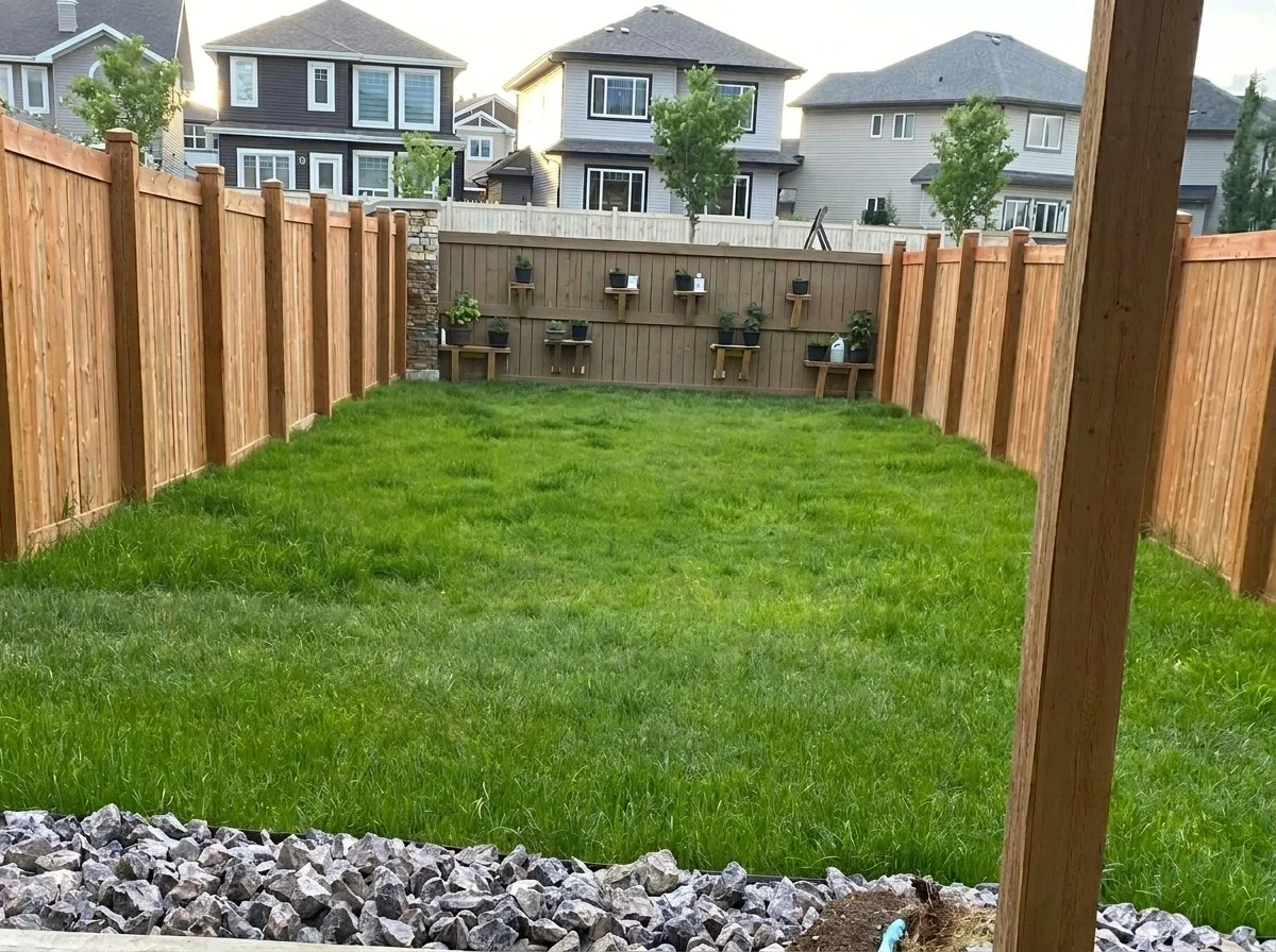 A backyard with freshly cut green grass, a wooden privacy fence, and a small decorative garden area with potted plants arranged on shelves. Behind the fence are two-story houses with trees and a partly cloudy sky.