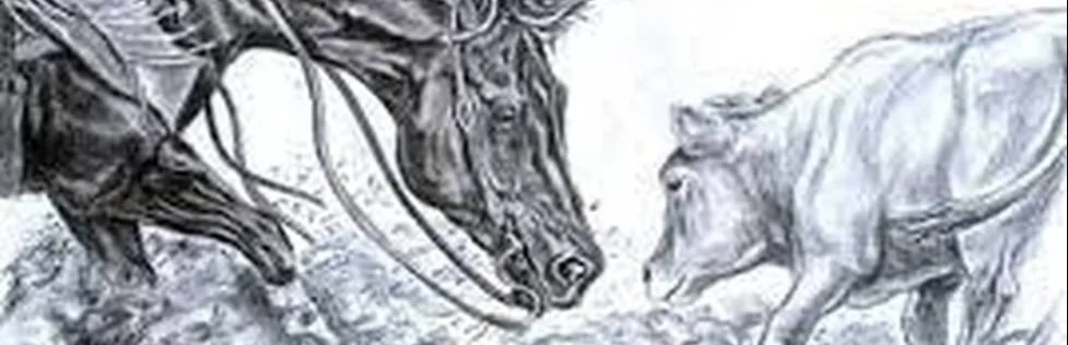 Sketch of two charging bulls facing each other.