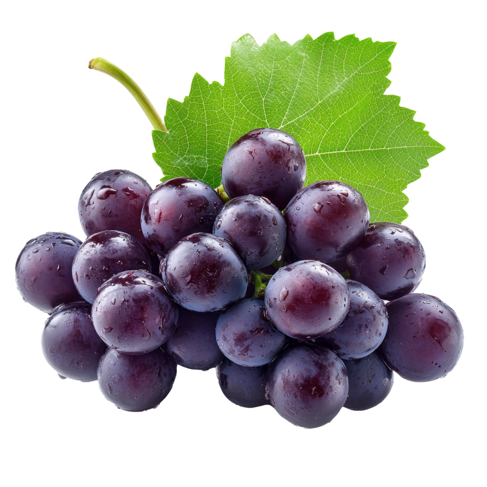 A bunch of plump, purple grapes with water droplets and a green leaf still attached.