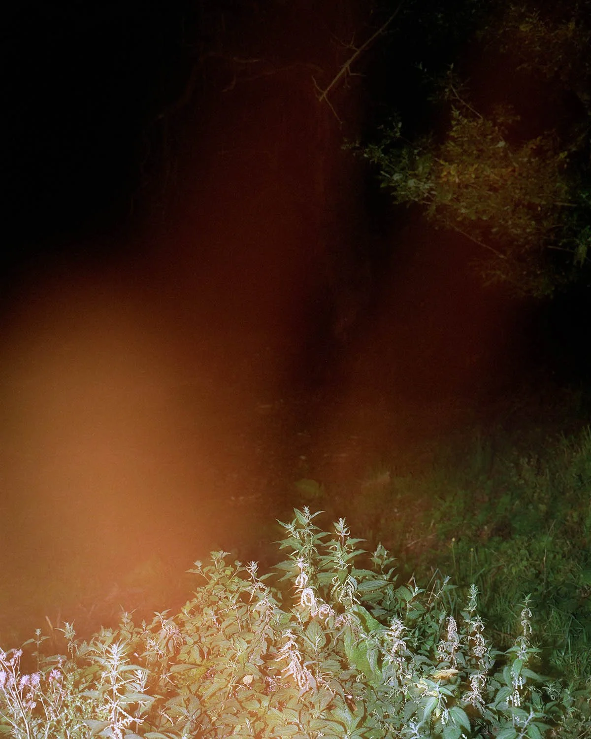 PERCEPTION_OF_THE_GROVE 008.jpg