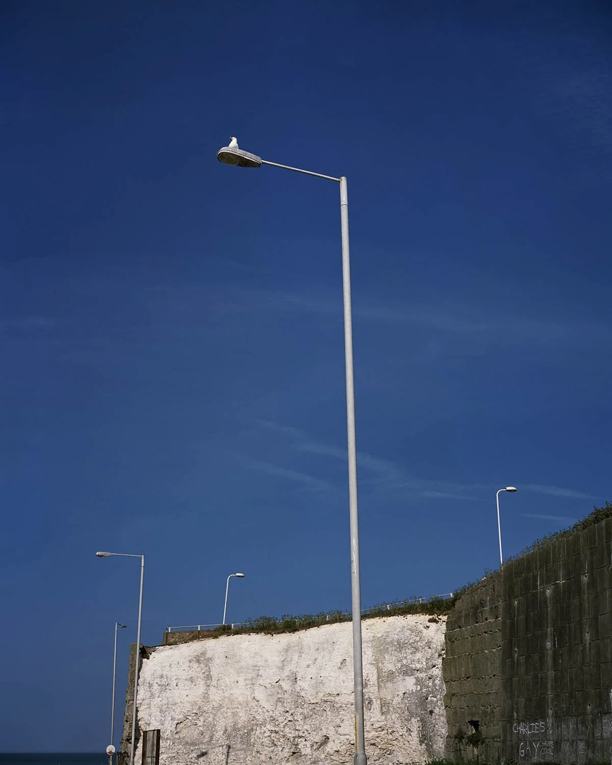 LAMP_POSTS 001.jpg