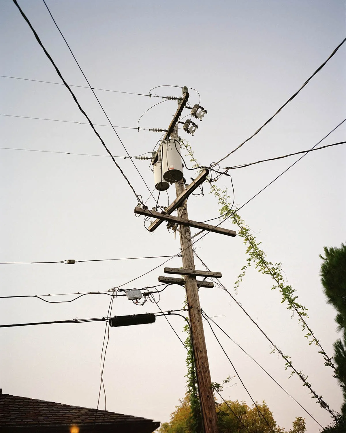 POWER_LINES 001.jpg