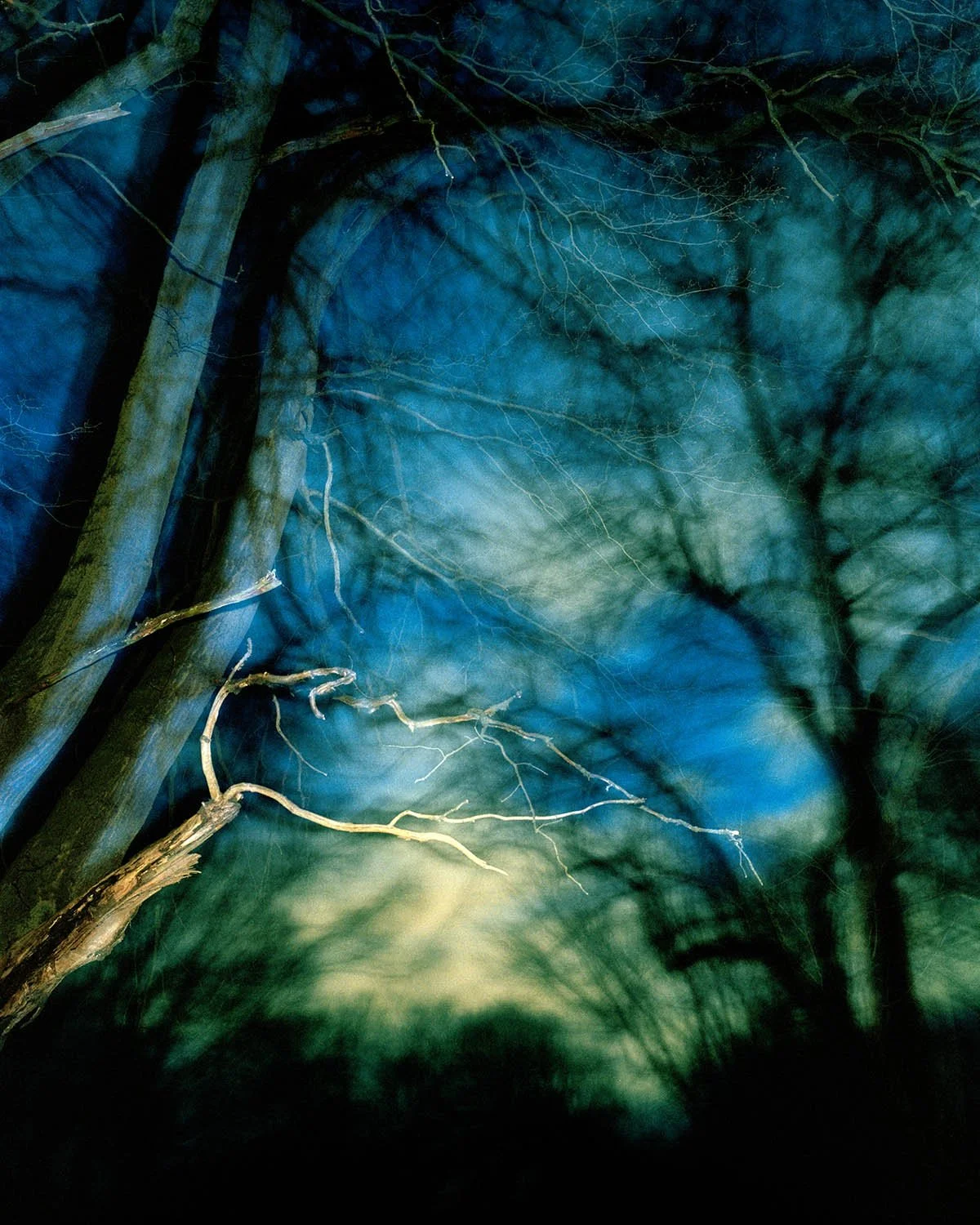 PERCEPTION_OF_THE_GROVE 012.jpg