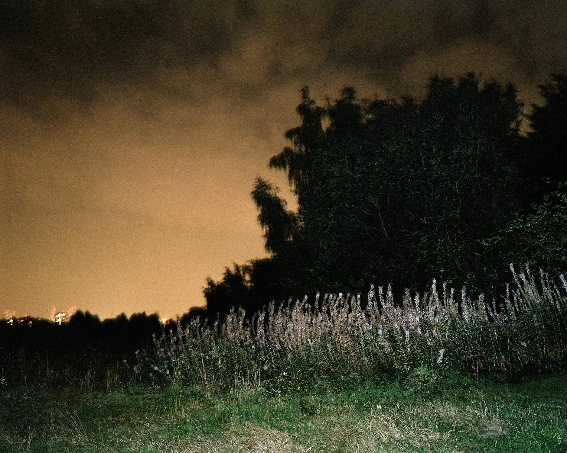 PERCEPTION_OF_THE_GROVE 004.jpg
