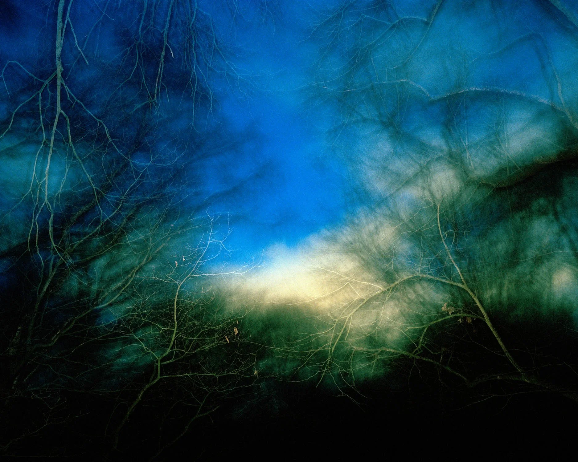 PERCEPTION_OF_THE_GROVE 013.jpg