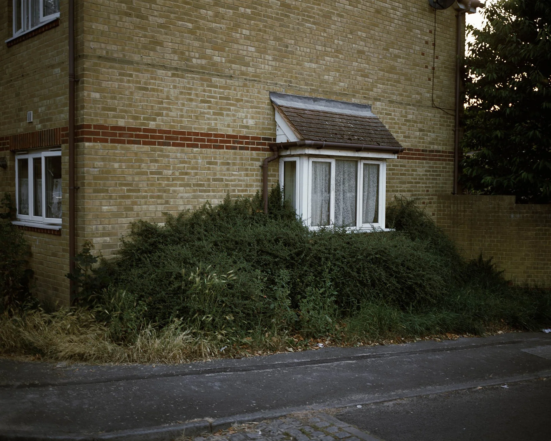 WINDOW 001.jpg