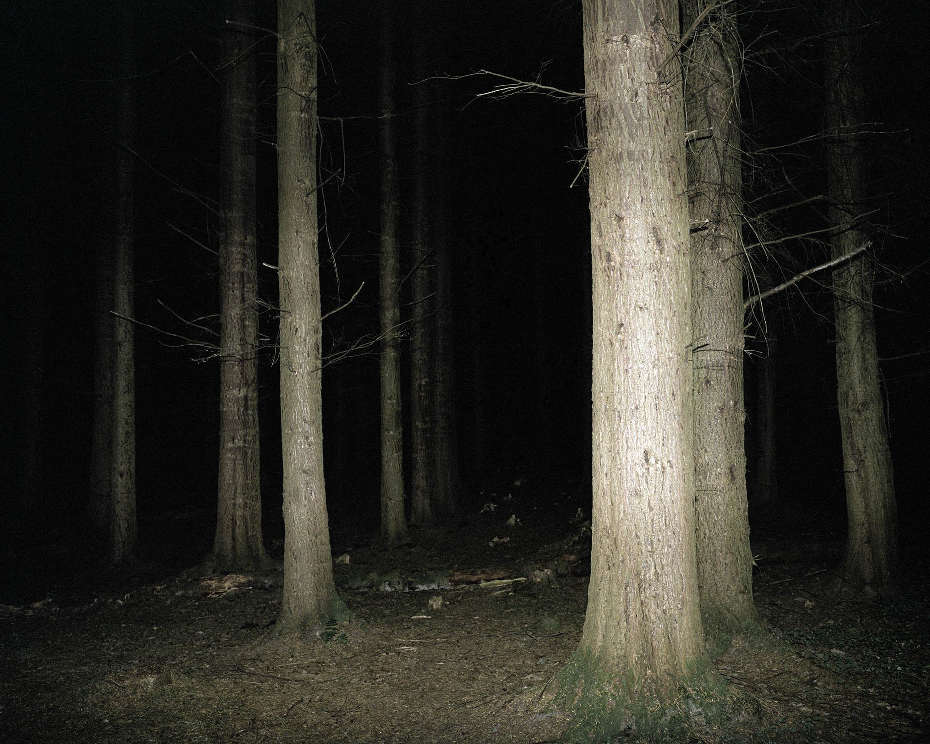 PERCEPTION_OF_THE_GROVE 034.jpg