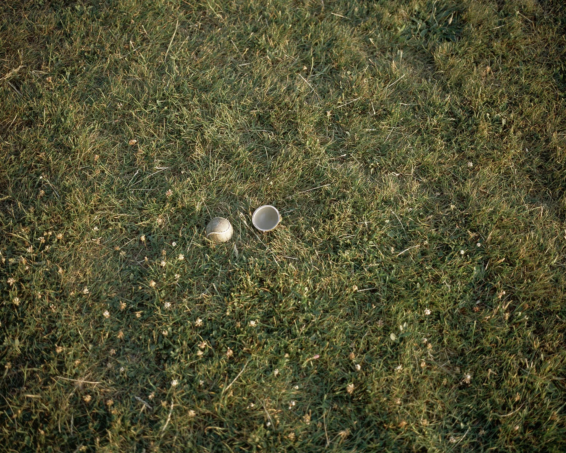 TENNIS_BALL 001.jpg