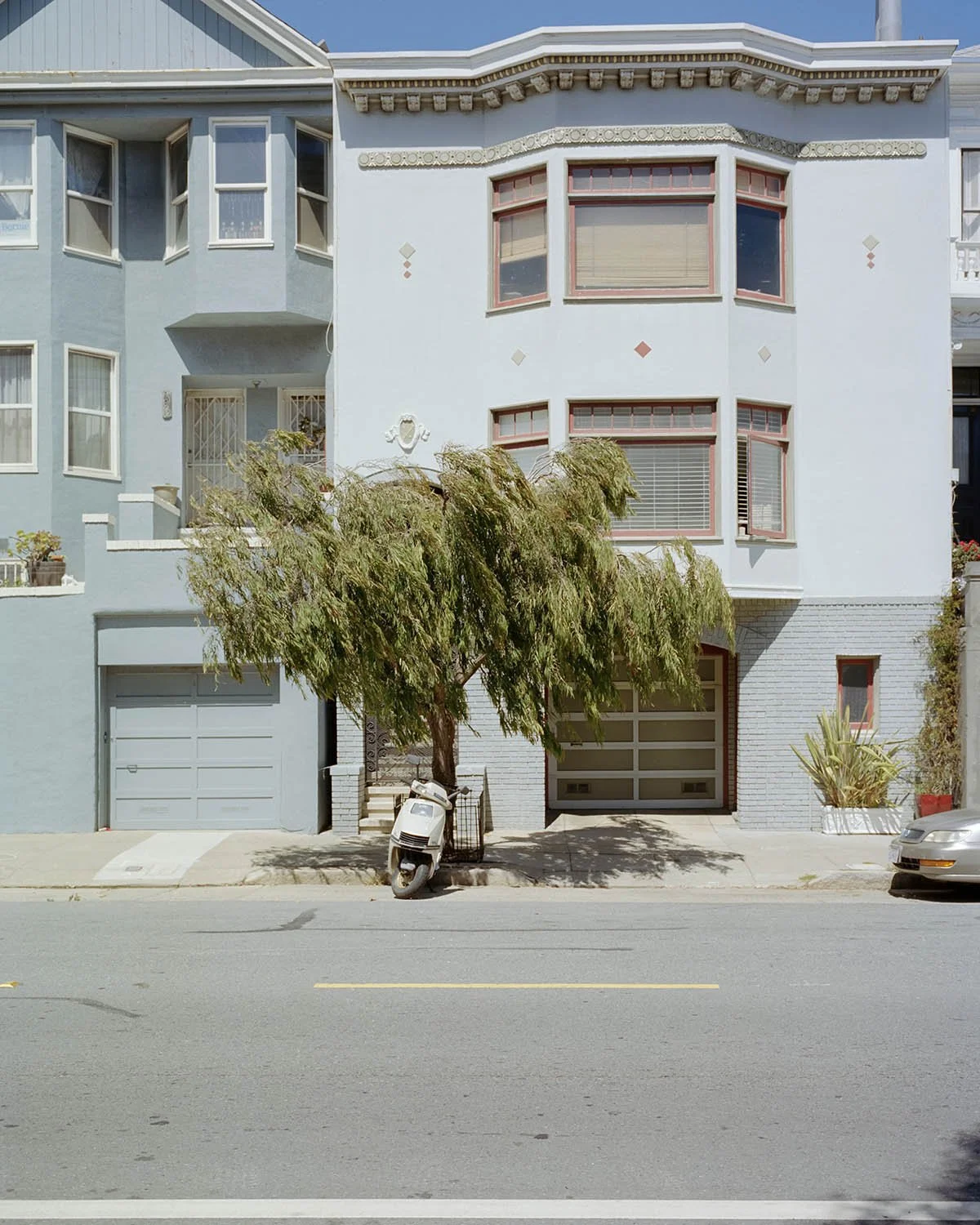 SCOOTER_TREE.jpg