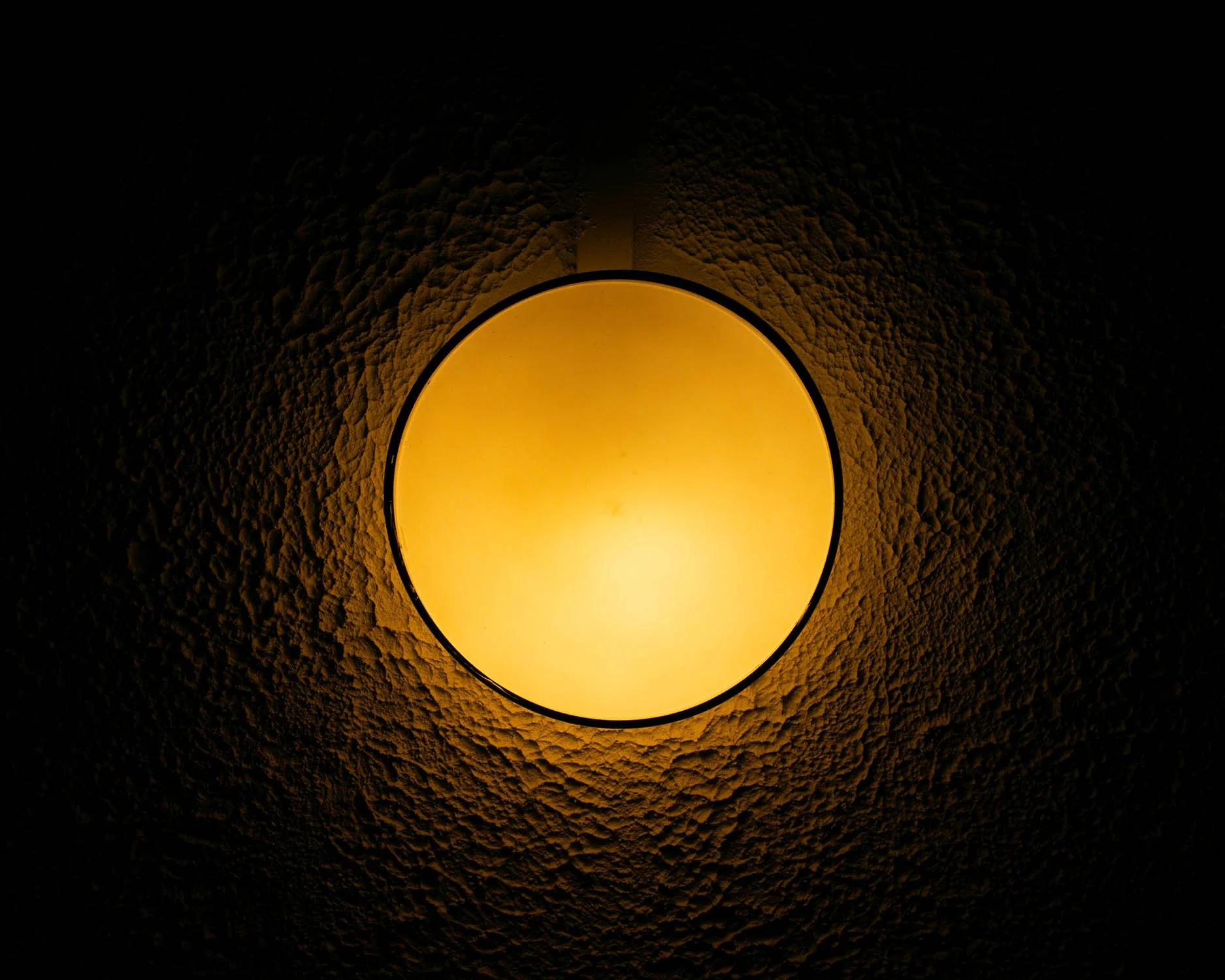 PBDK5790.jpg