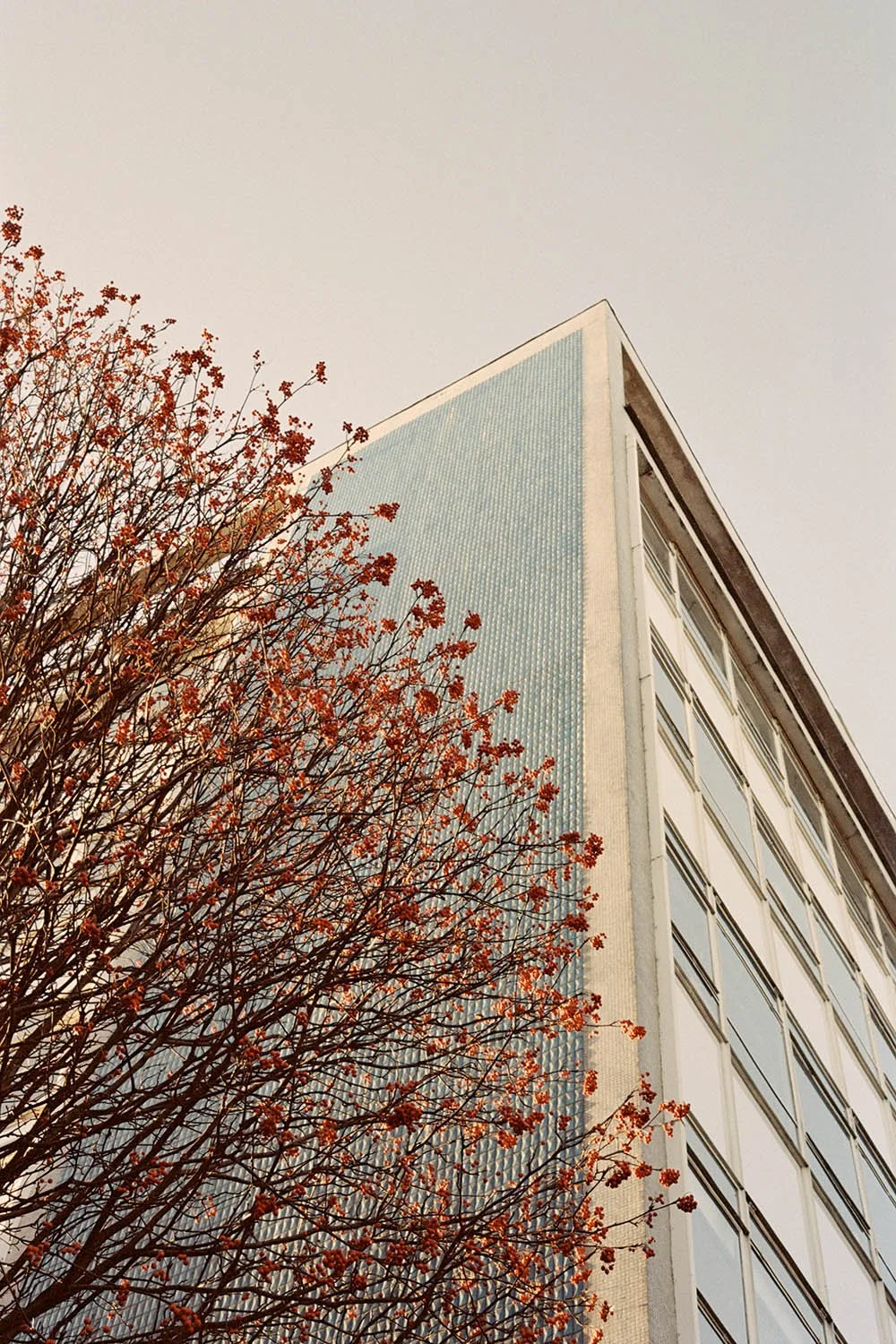 CLERKENWELL_LIGHT_BRIGHT 001 copy.jpg