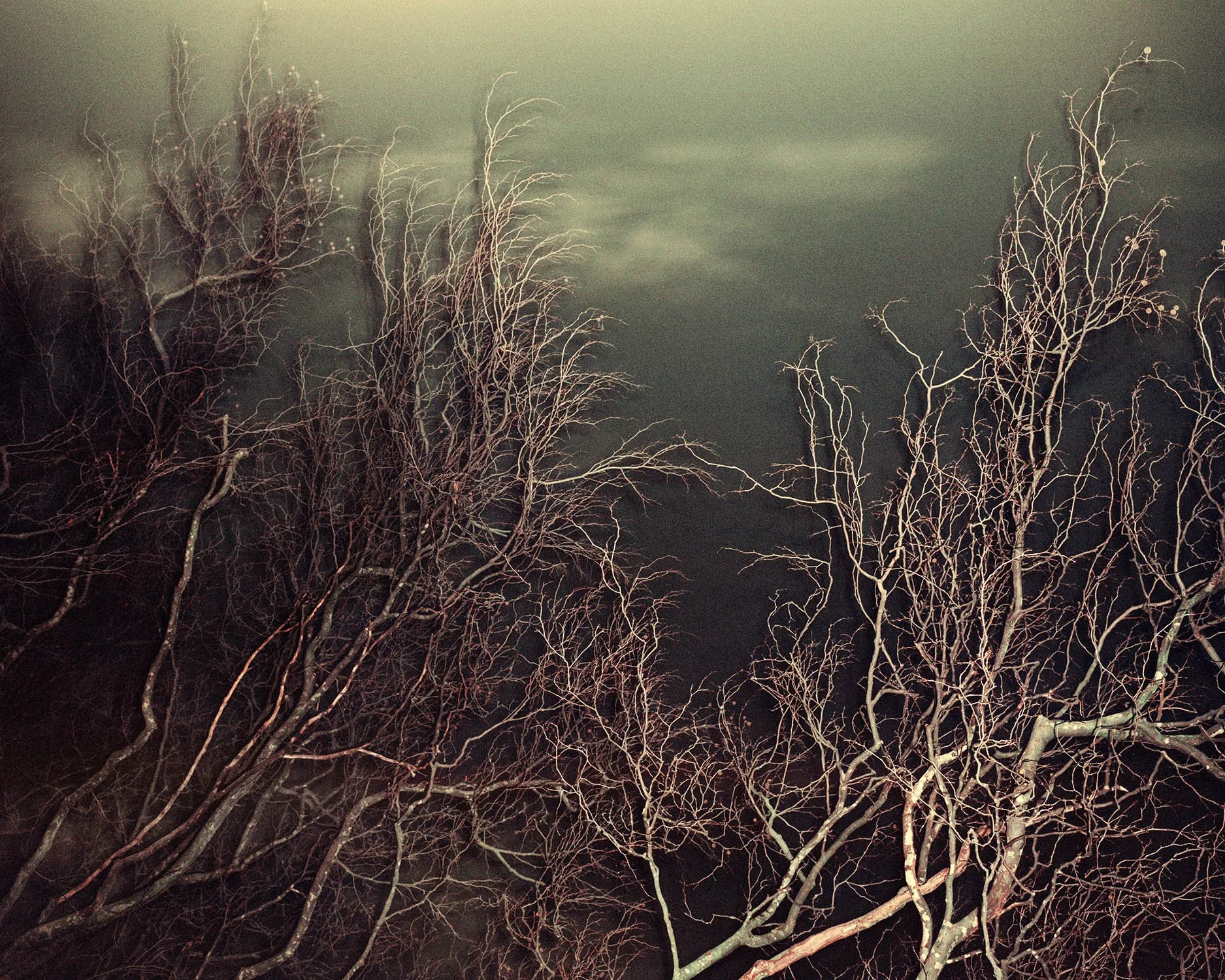 WANDSWORTH_THAMES_RIVER_EDGE 001.jpg