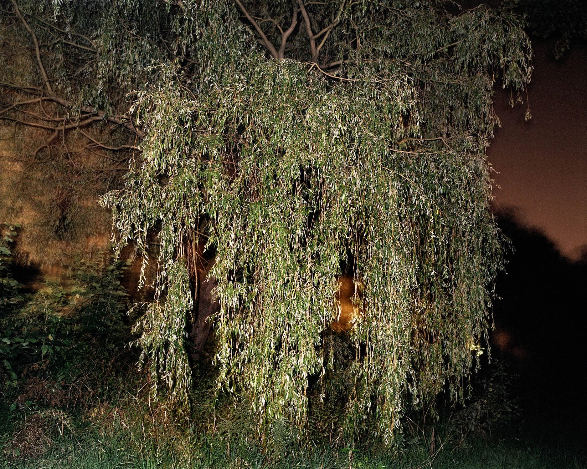 PERCEPTION_OF_THE_GROVE 006.jpg