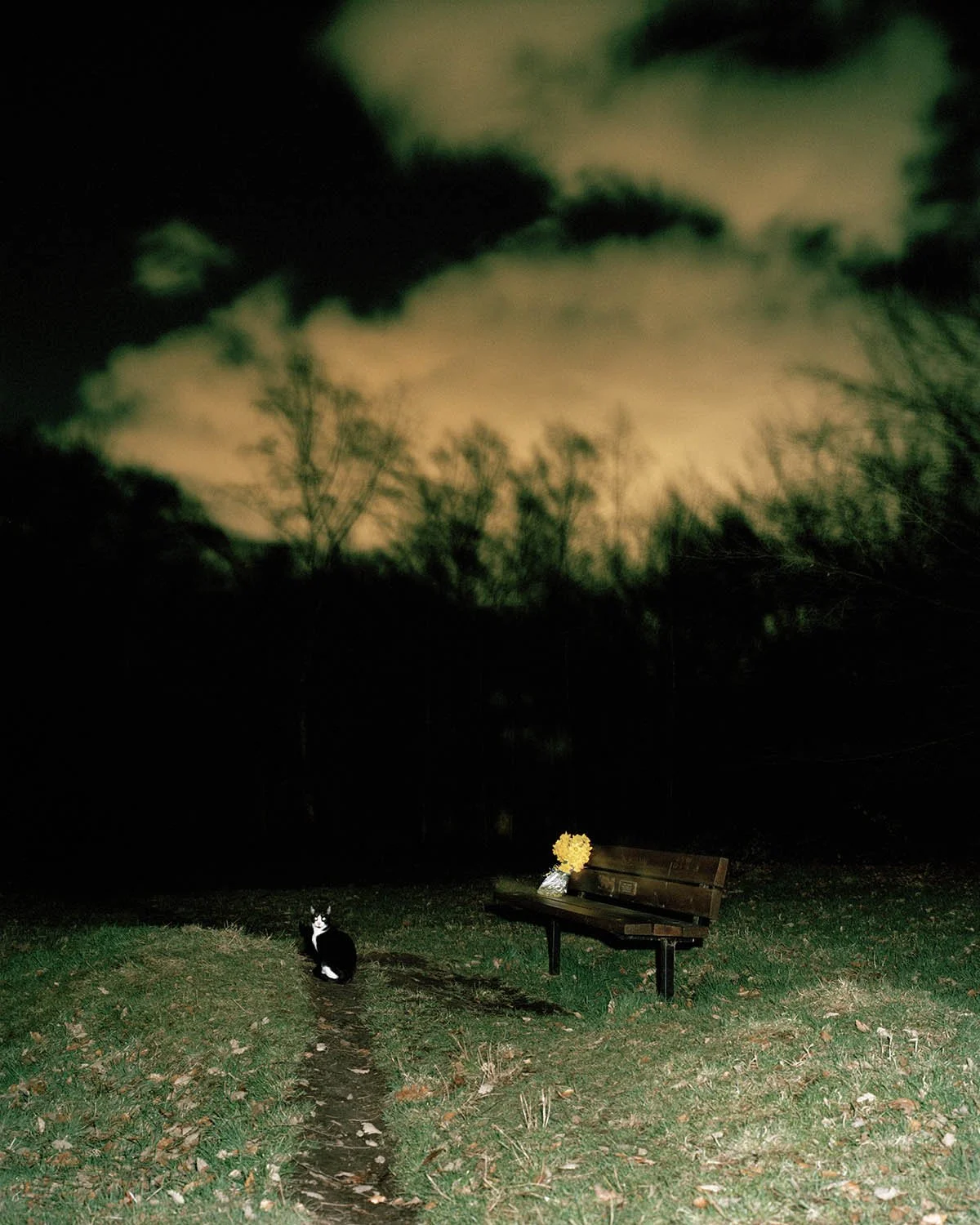 PERCEPTION_OF_THE_GROVE 020.jpg