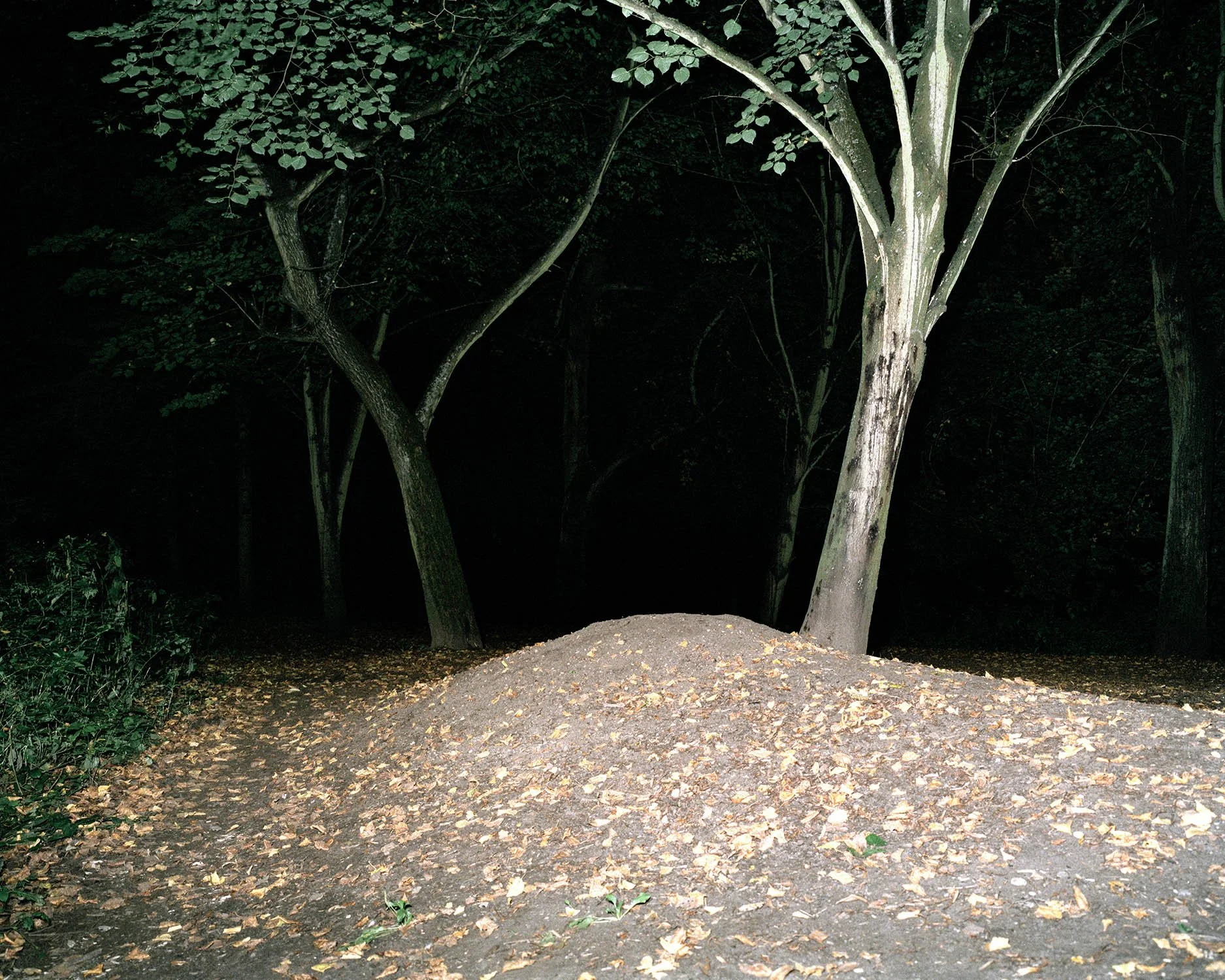 PERCEPTION_OF_THE_GROVE 003.jpg