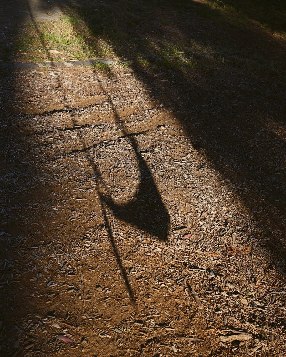 _GFX0738.jpg