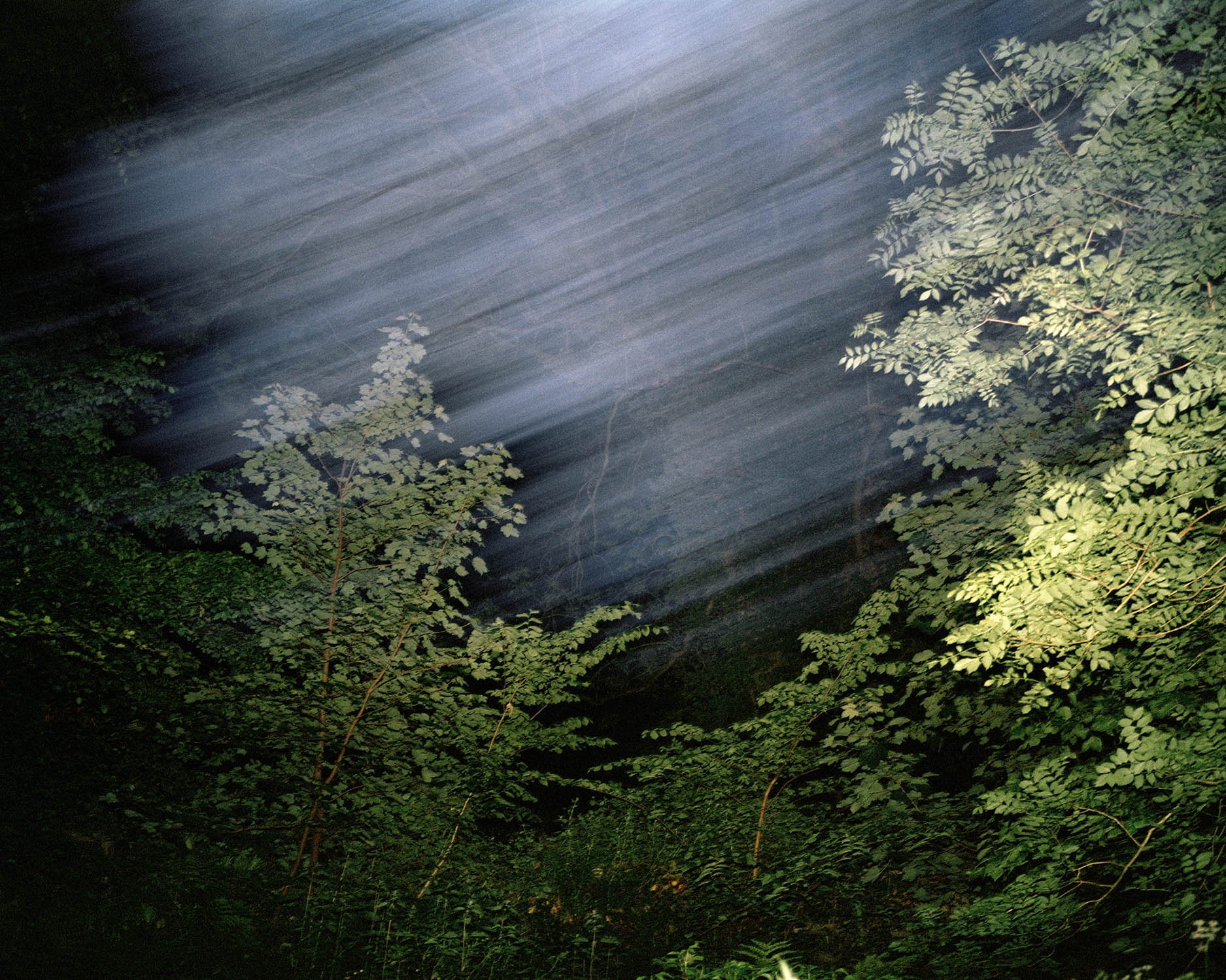 PERCEPTION_OF_THE_GROVE 038.jpg