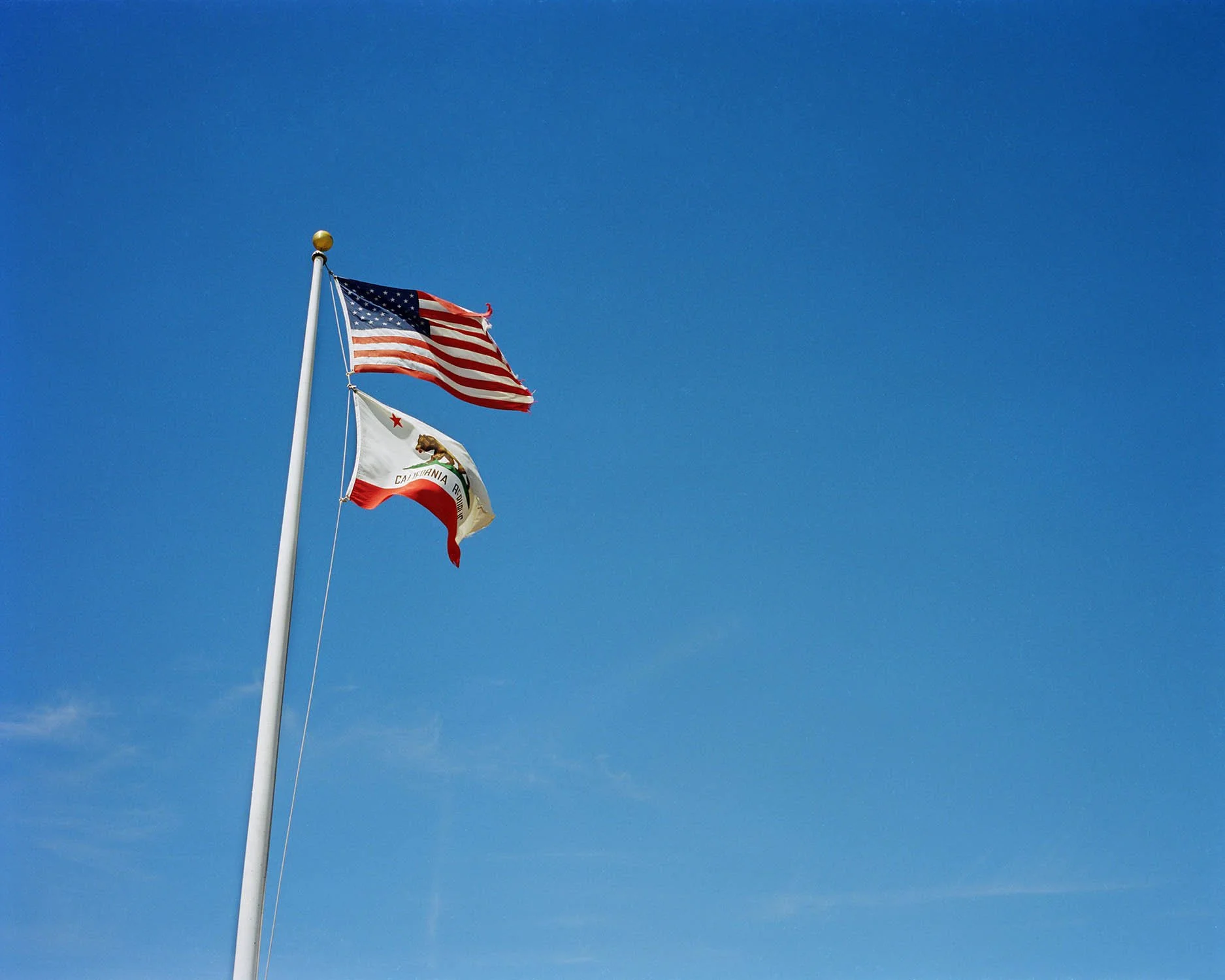 FLAG.jpg