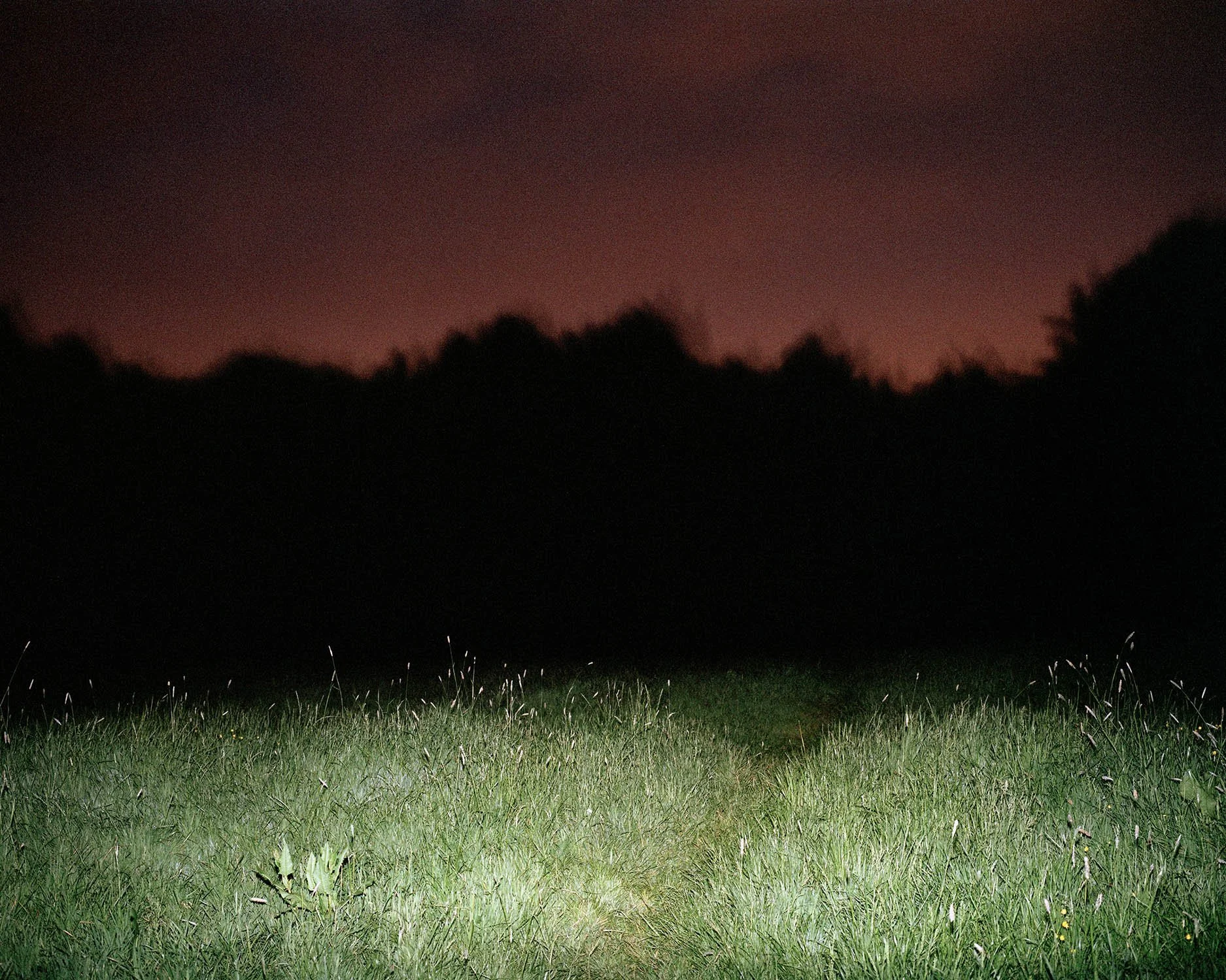 PERCEPTION_OF_THE_GROVE 036.jpg